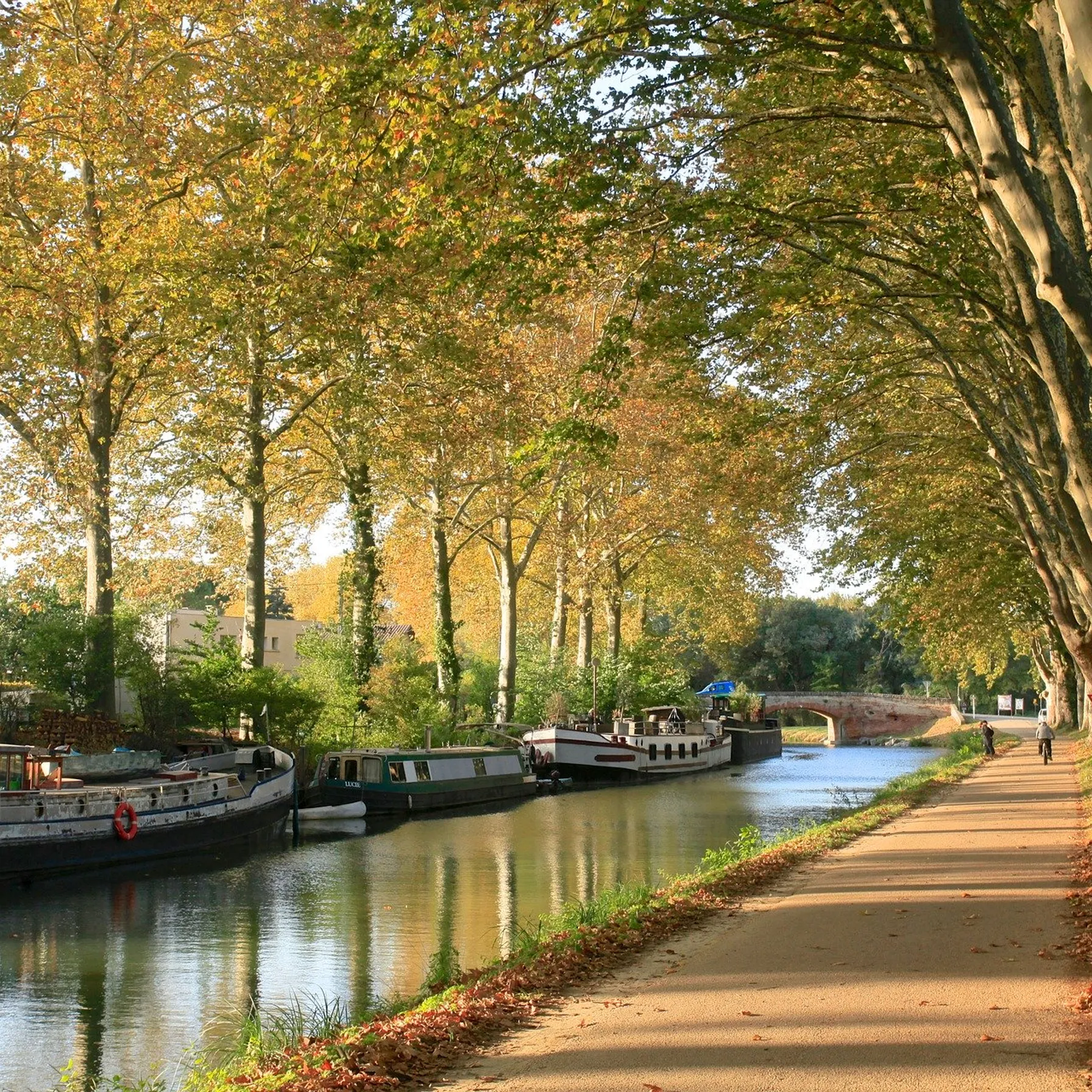 À la conquête du ciel de ToulouseFrance