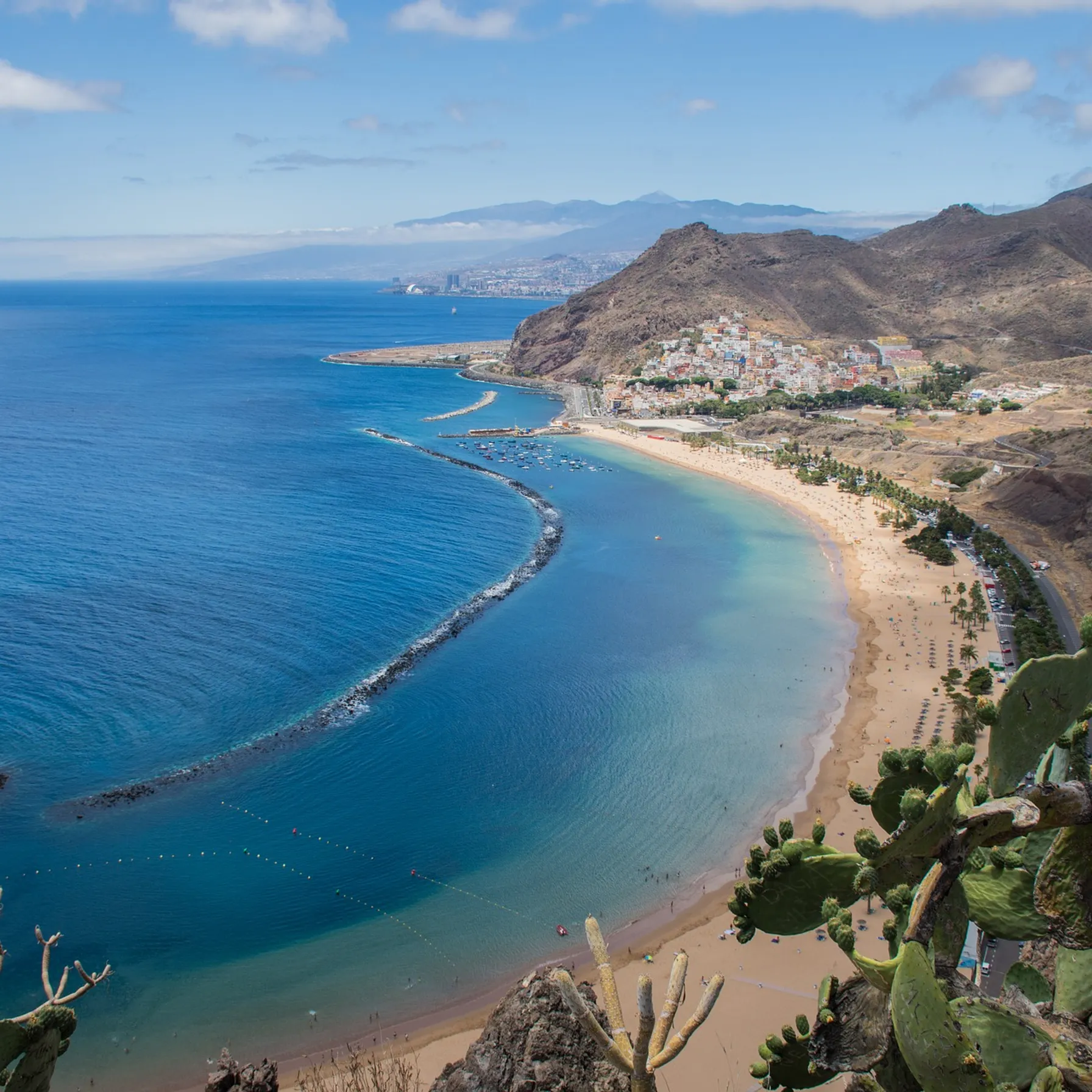 imageCanaries