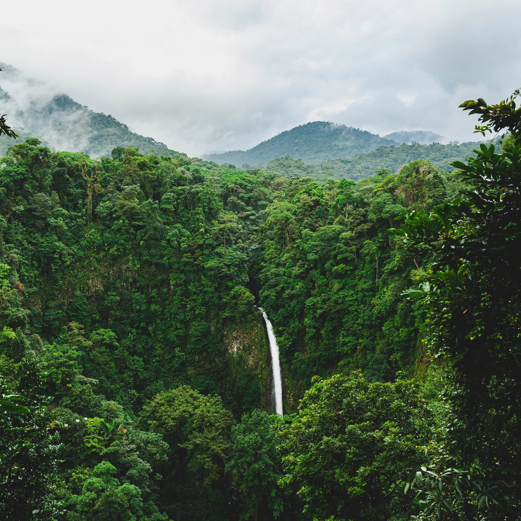 Costa Rica: pura vida des Caraïbes au Pacifique !Costa Rica