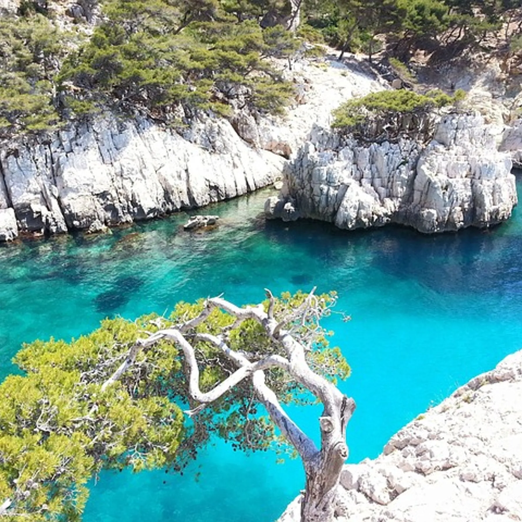 imageCalanques of Marseille