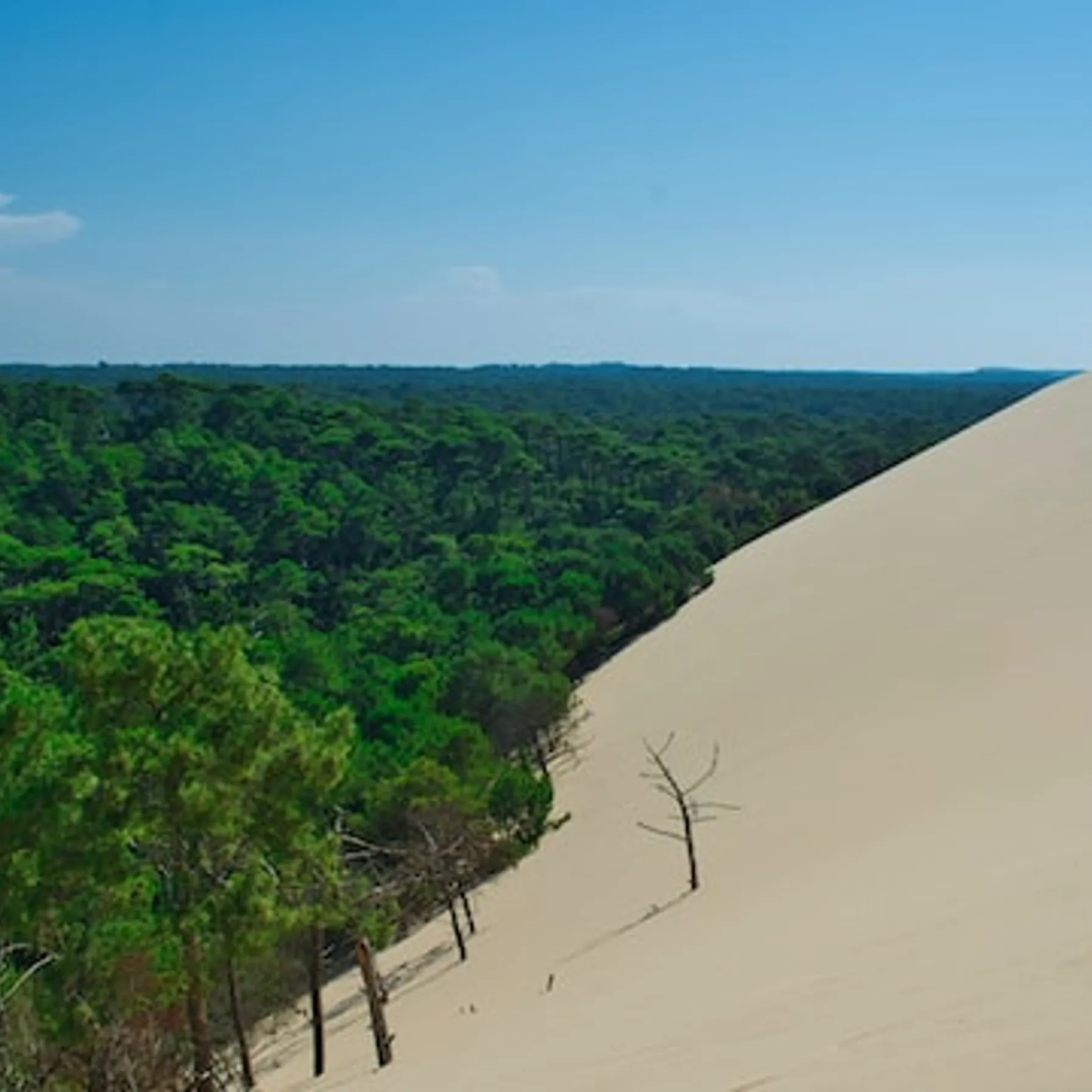 imageDune of Pilat