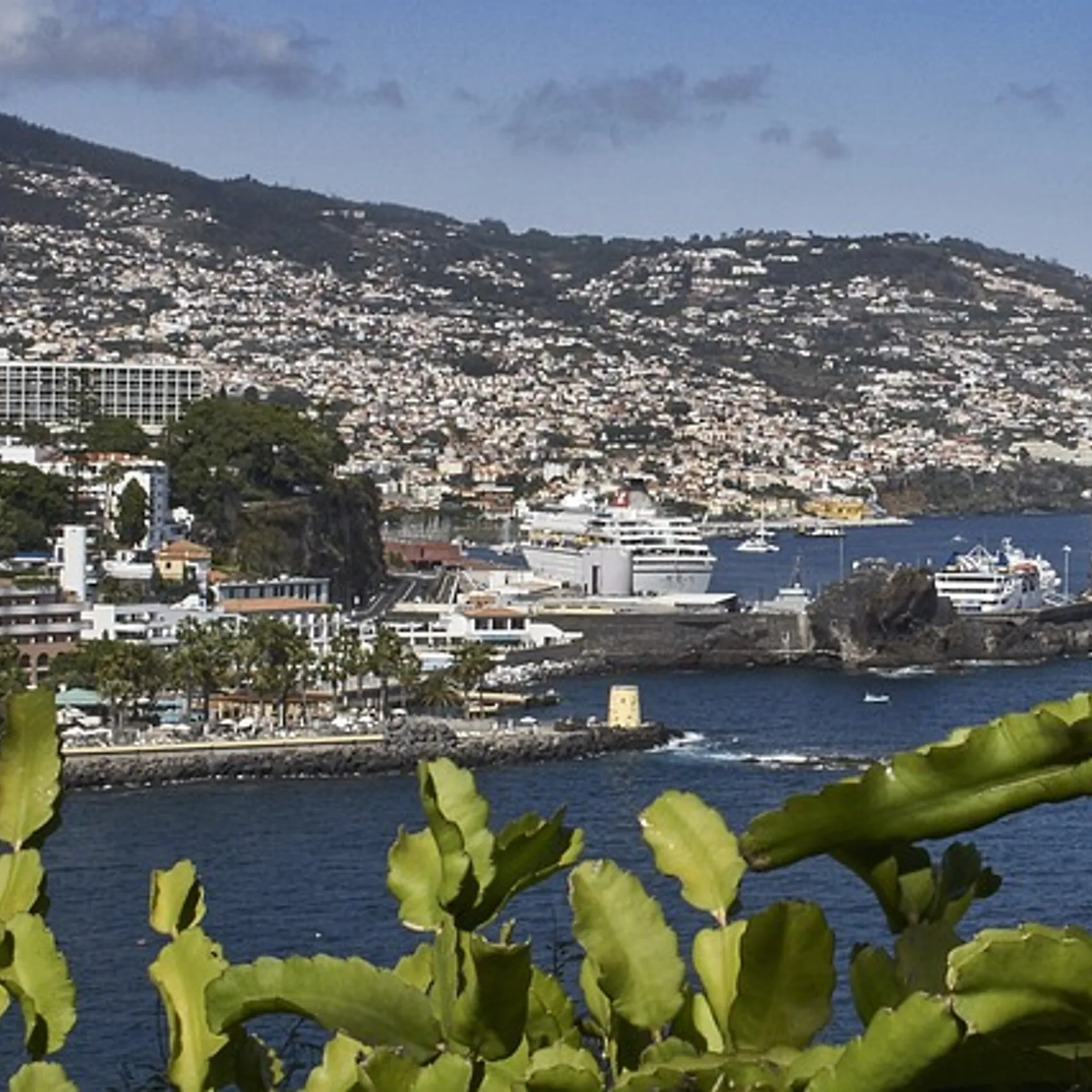 imageFunchal