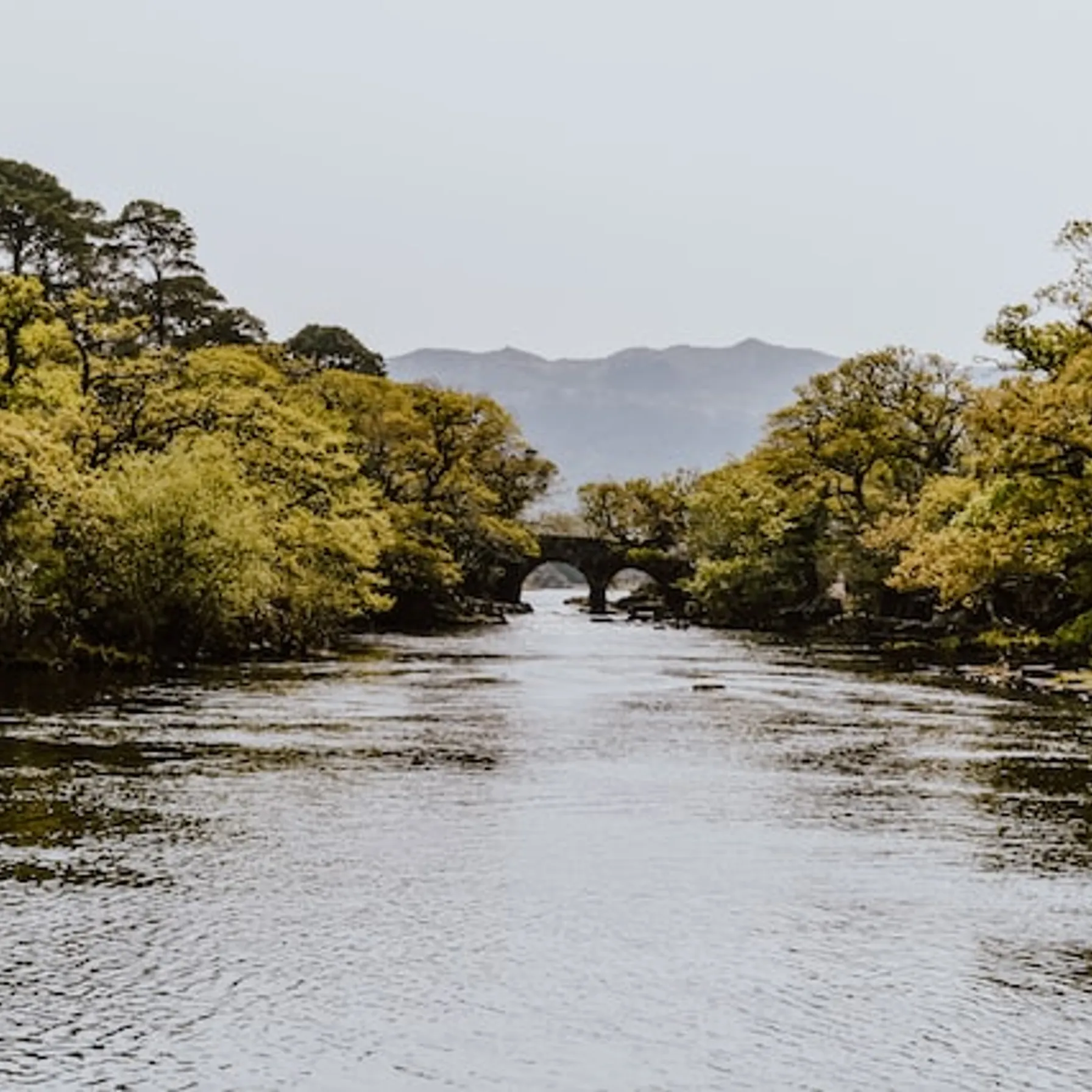 imageParc national de Killarney