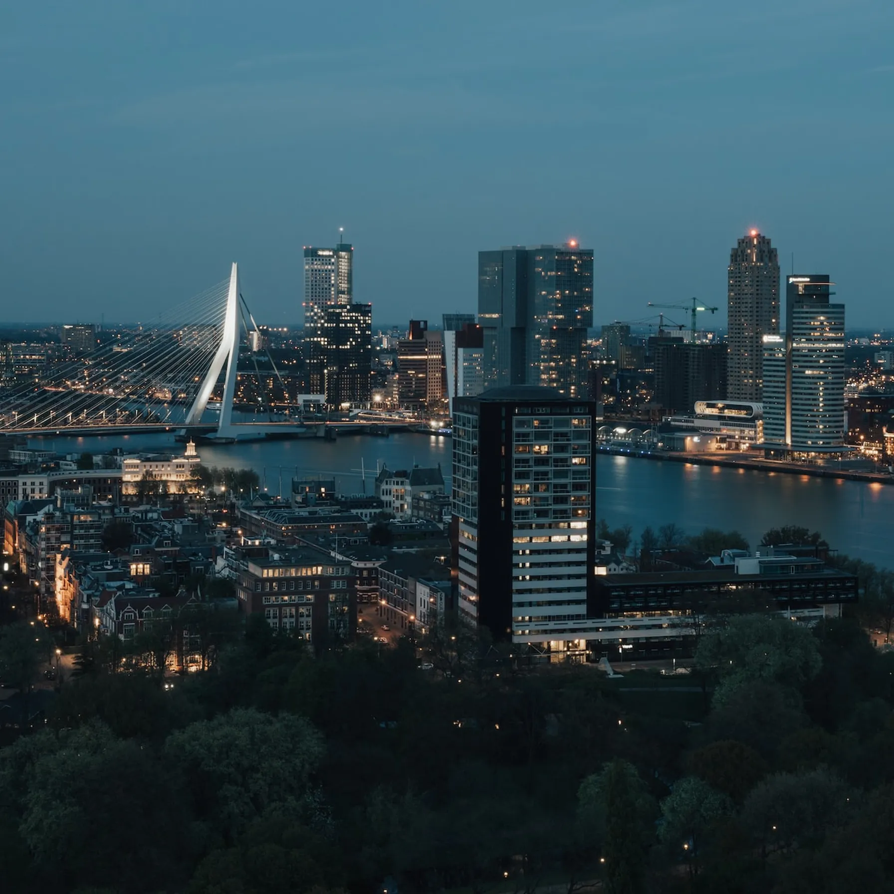 imagemunicipality of Rotterdam