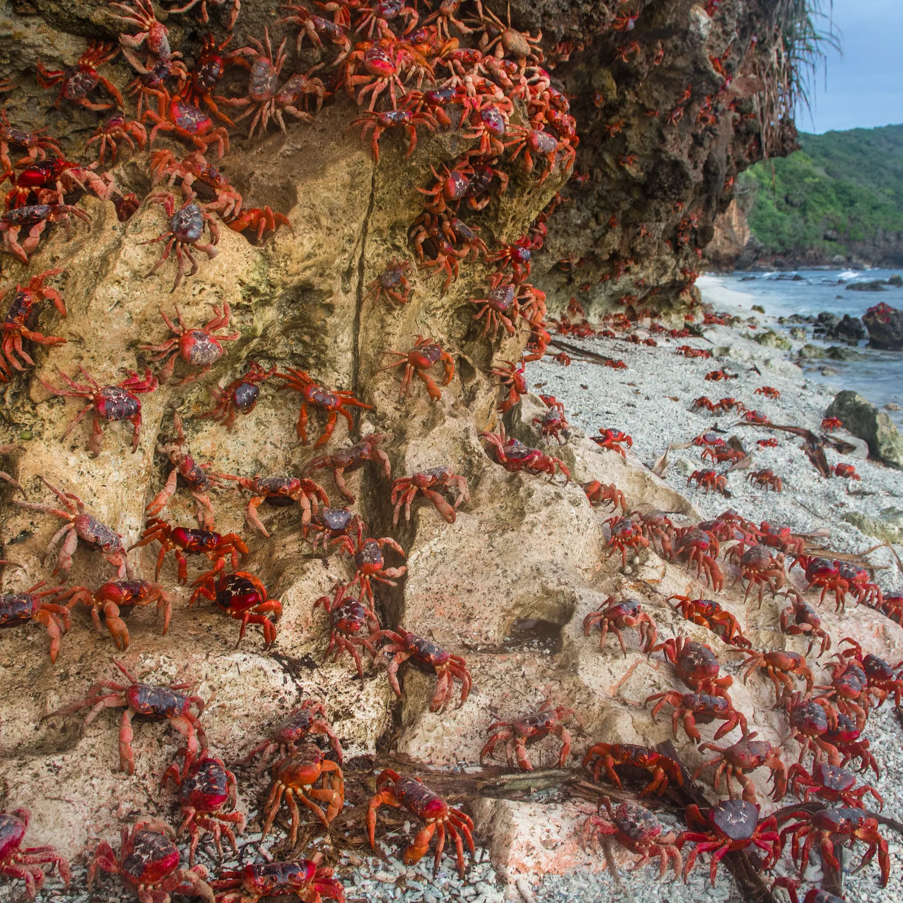imageChristmas Island