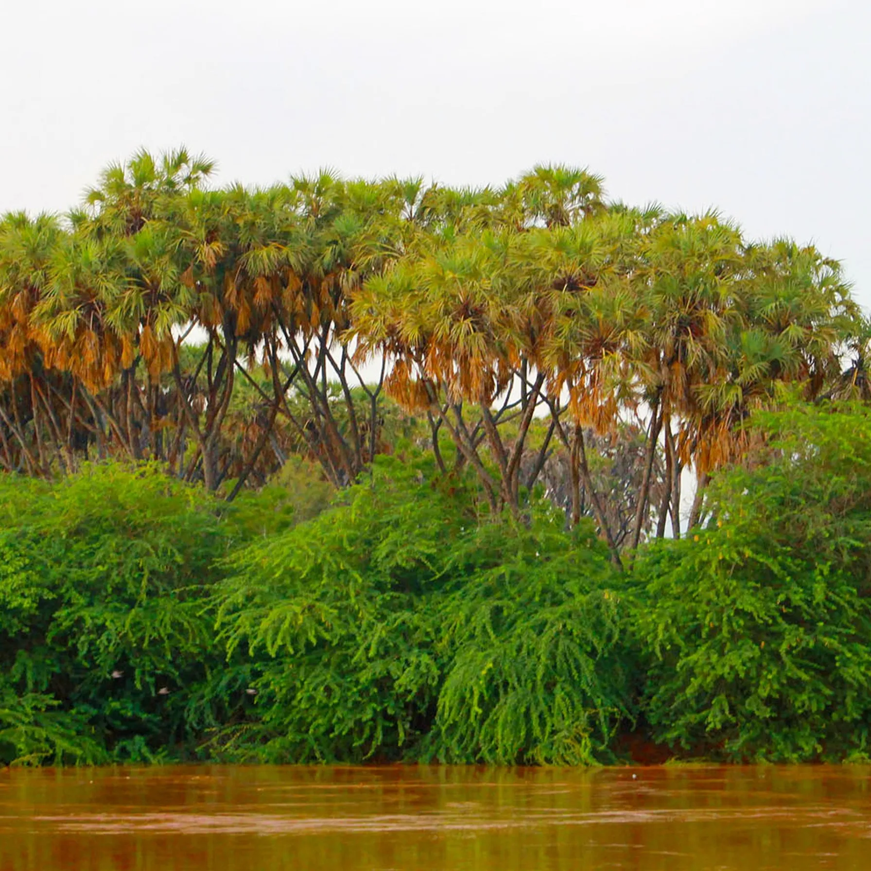 imageSomalia
