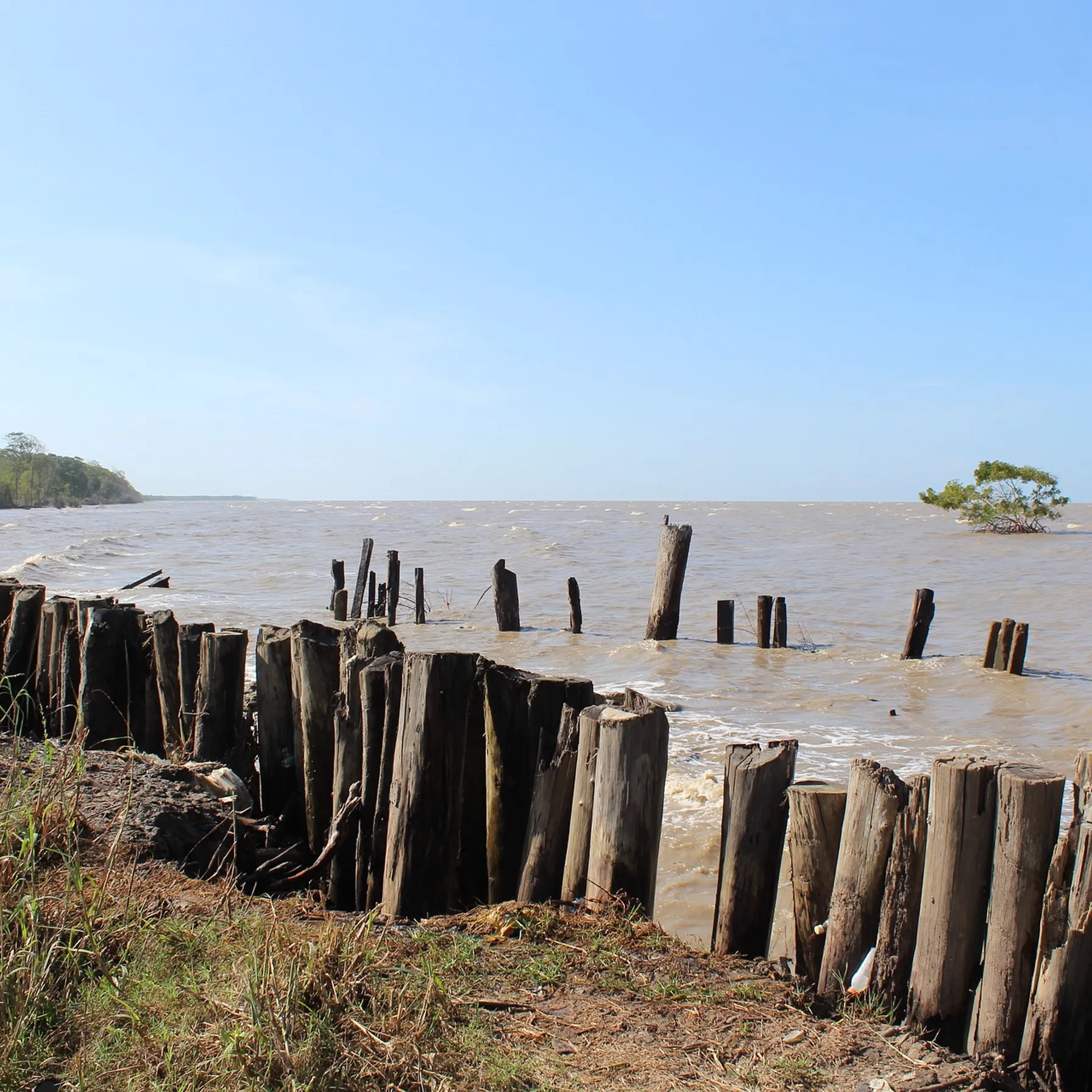 imageSuriname