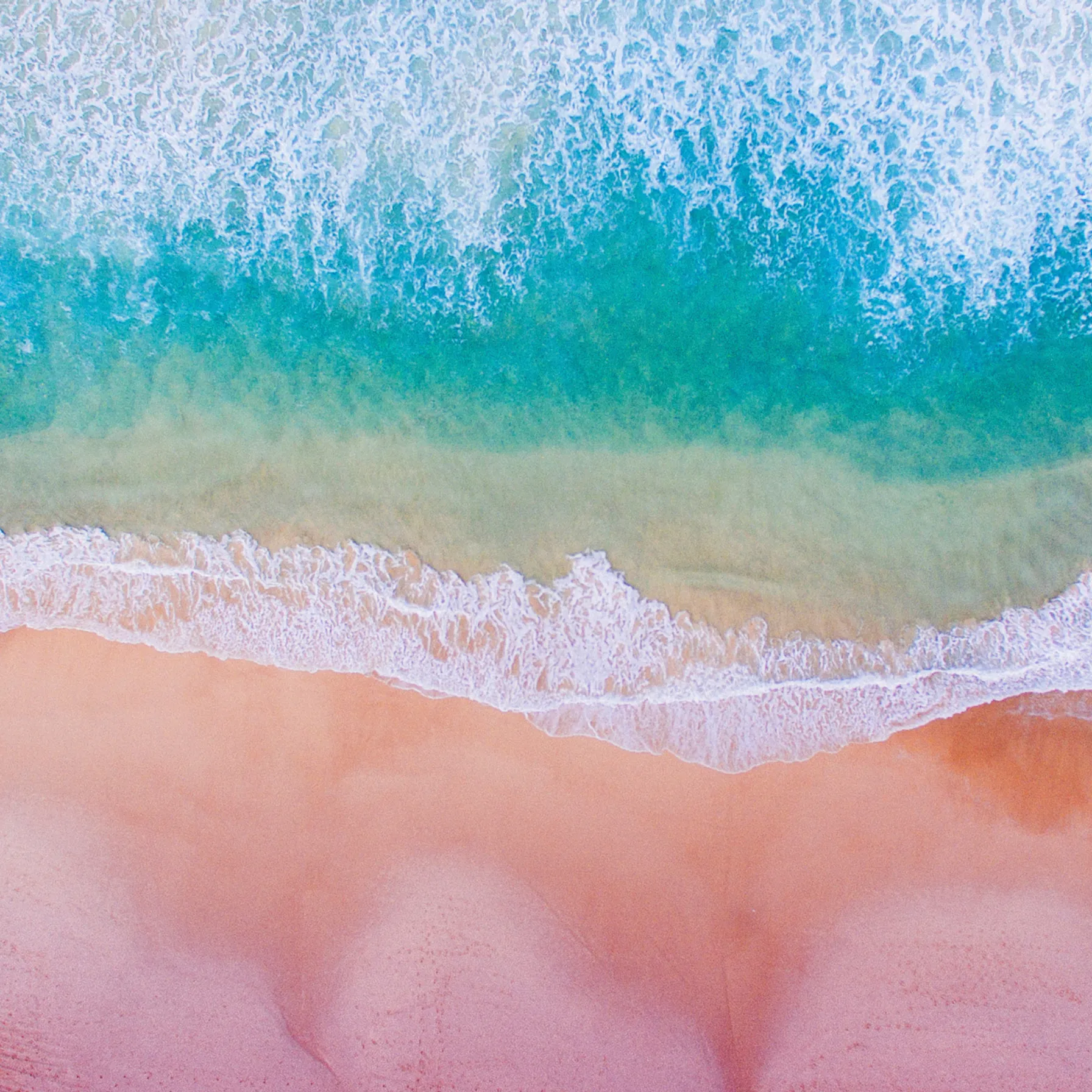 imagePlage Rose
