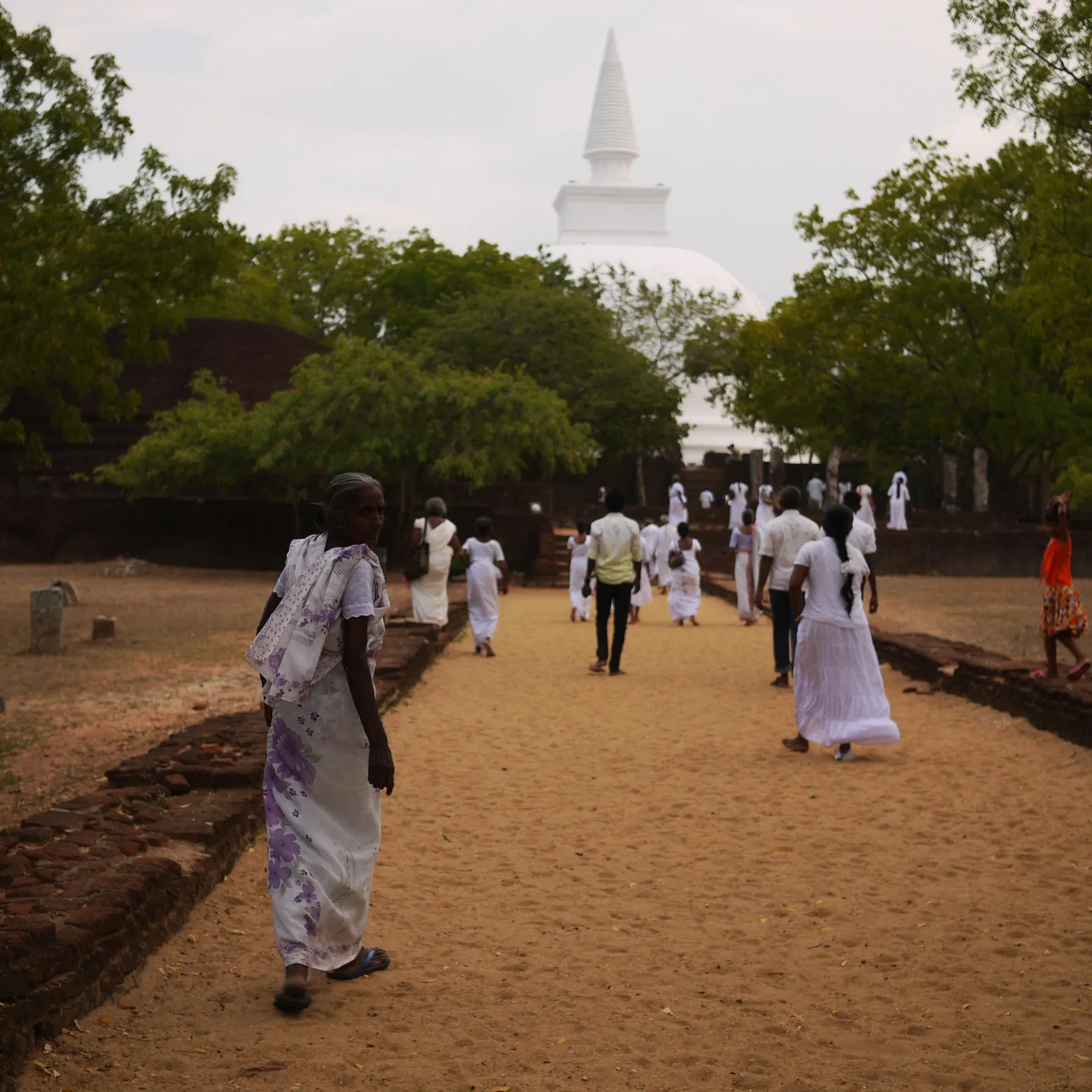 18 jours au Sri Lanka, un voyage dans le temps...Sri Lanka