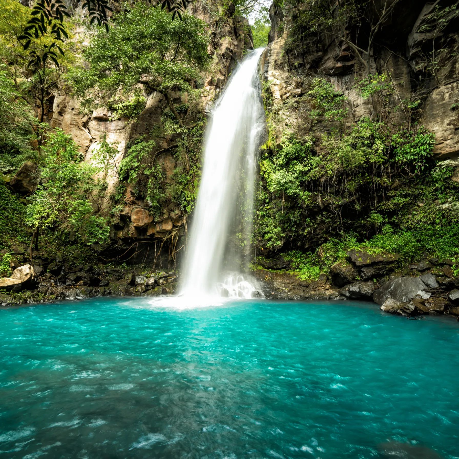imageAlajuela