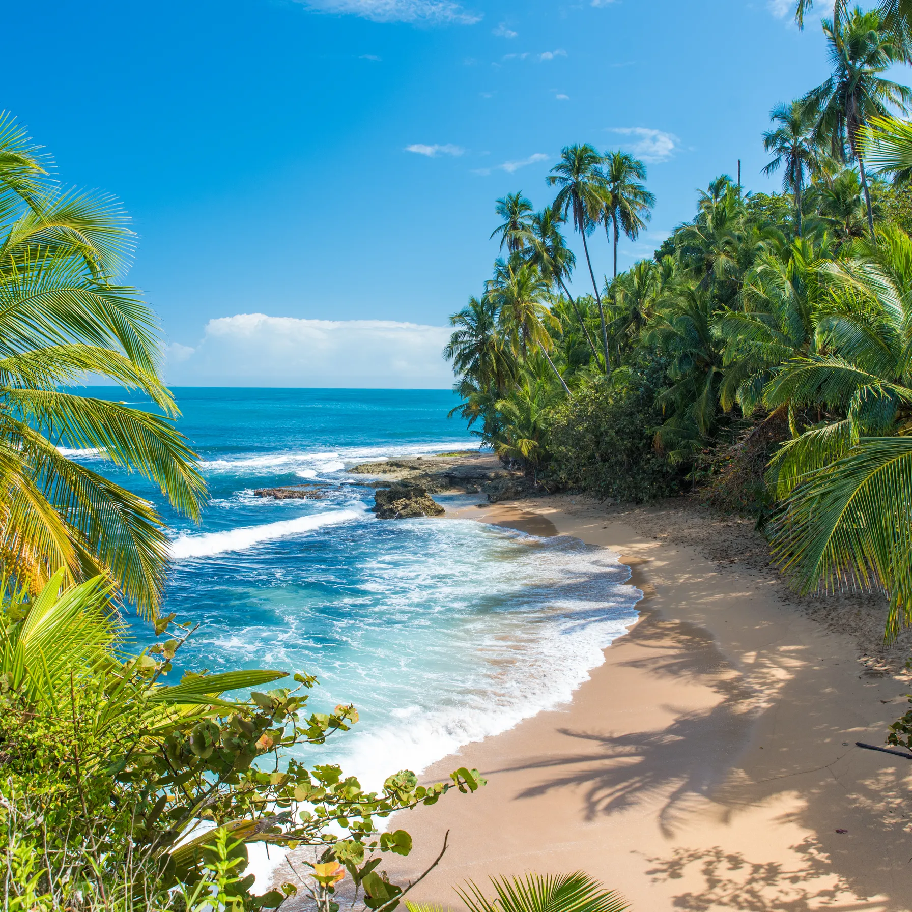 imagePuerto Limón
