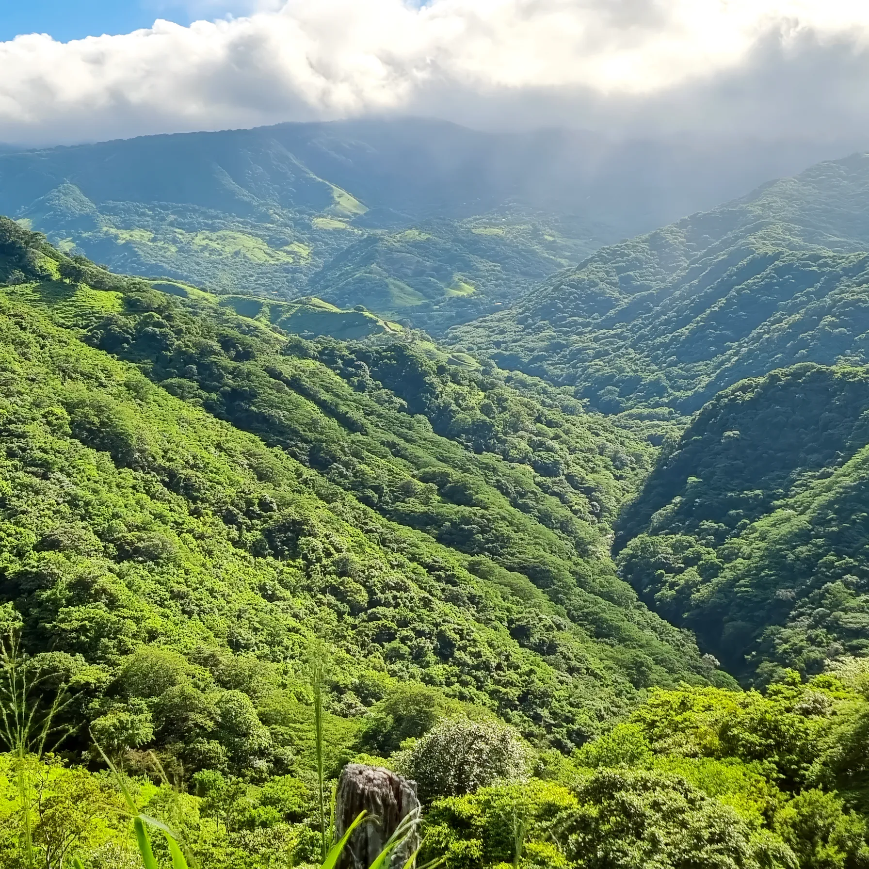 imageMonteverde