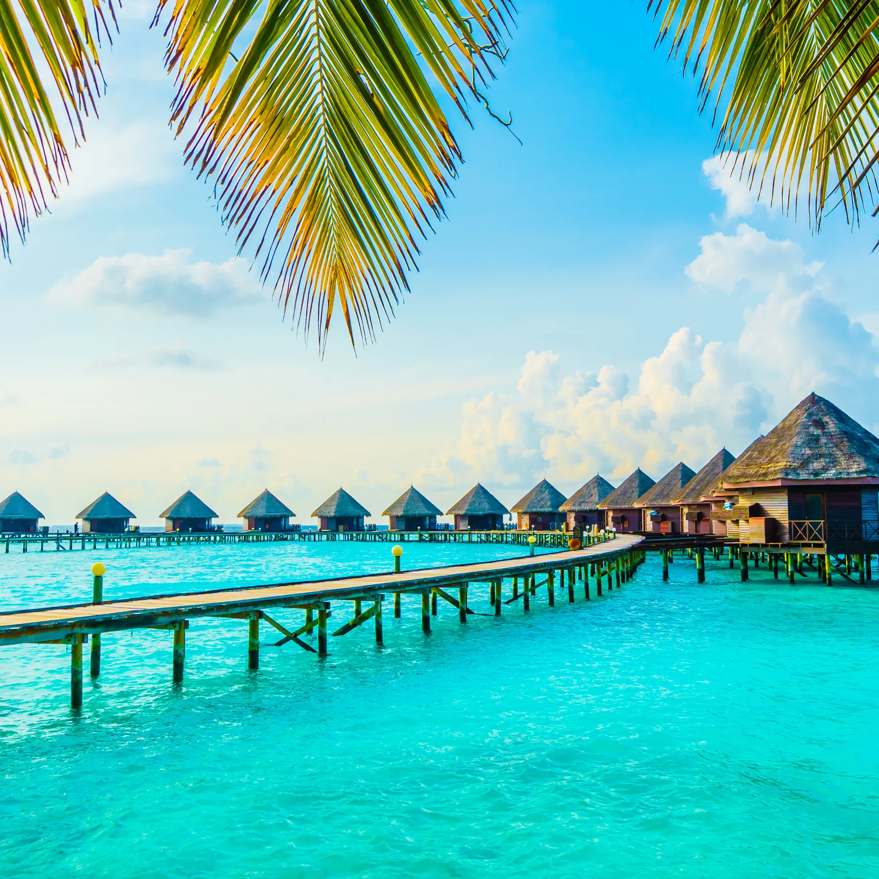 imageMaldives