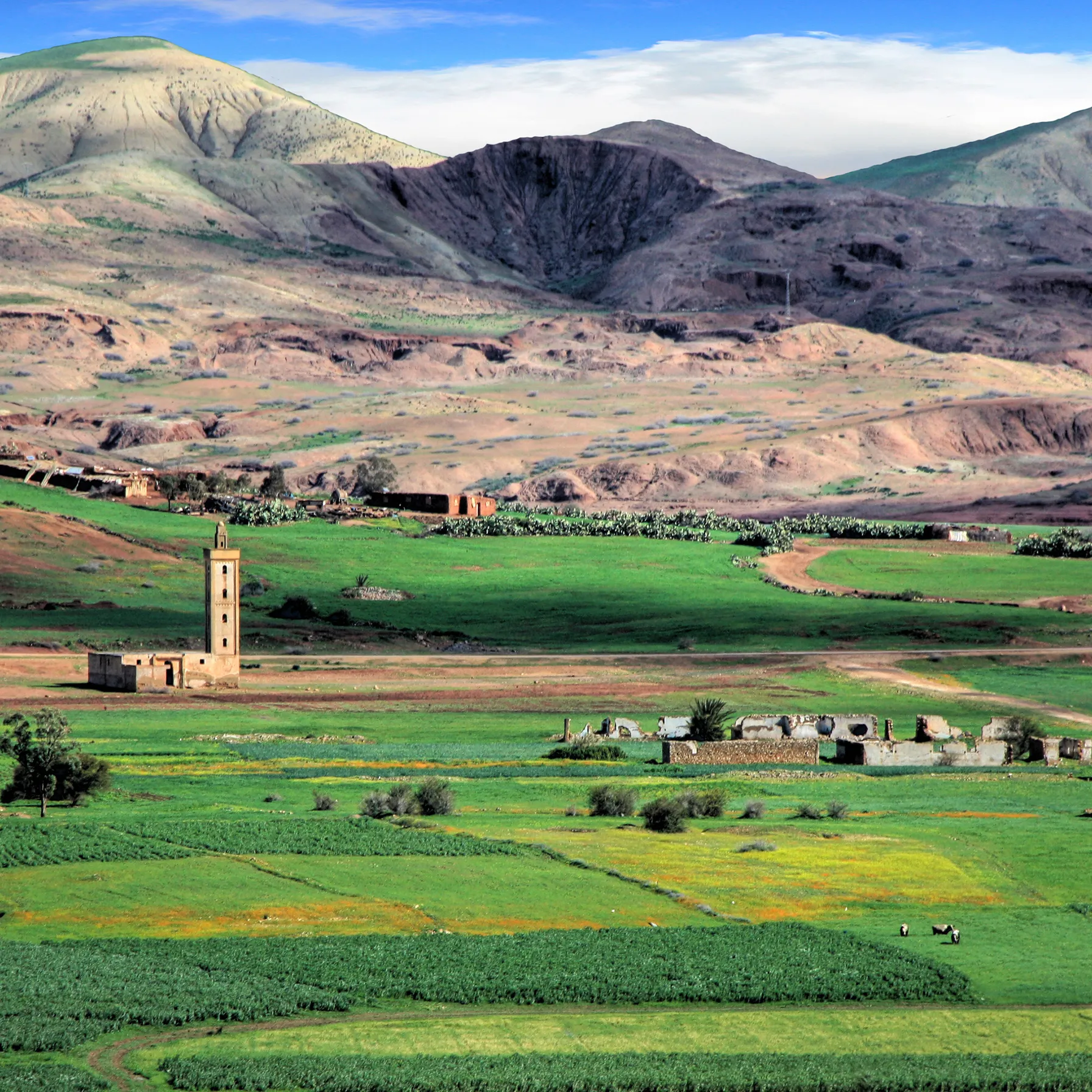 imageFès