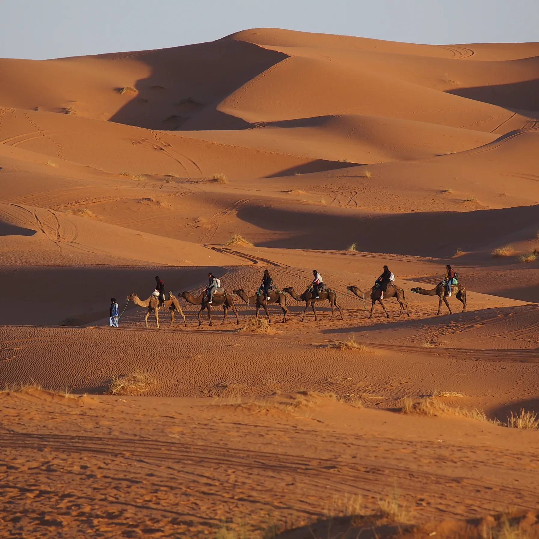 imageZagora Desert