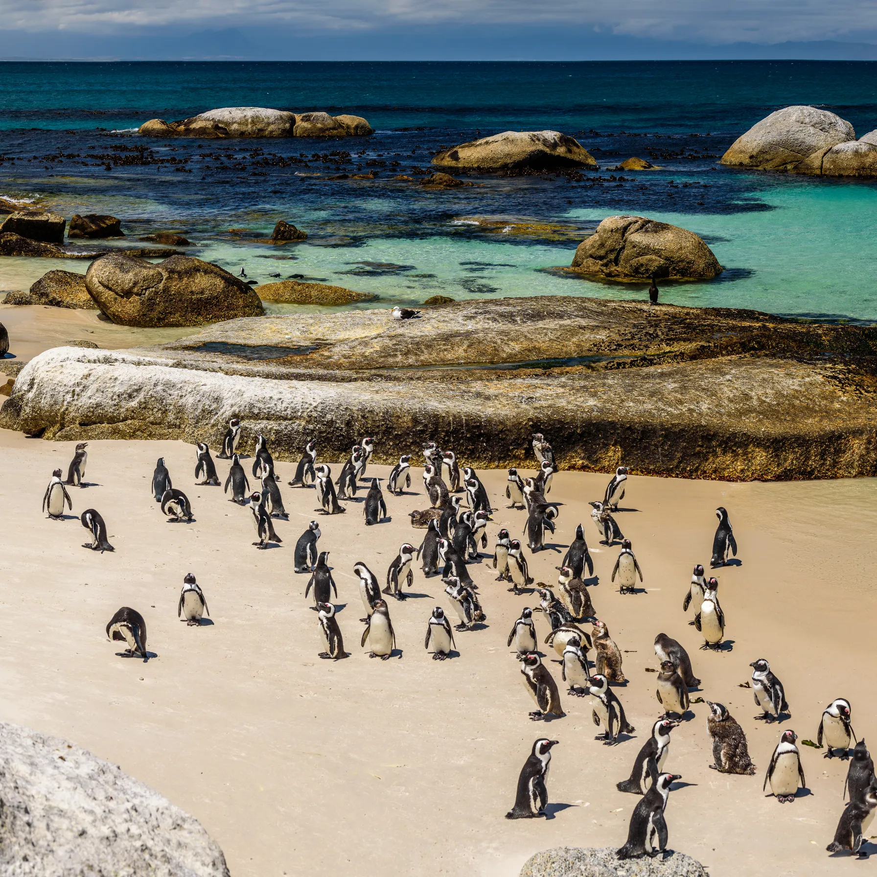 imageBoulders Beach