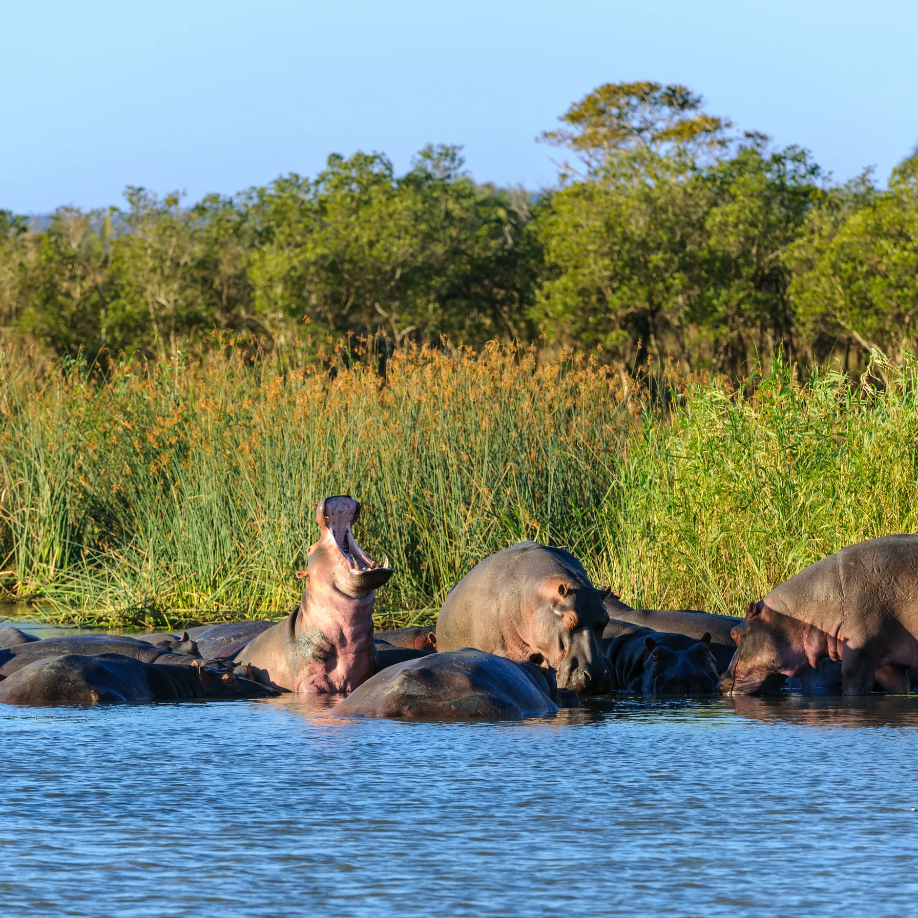 imageParc iSimangaliso