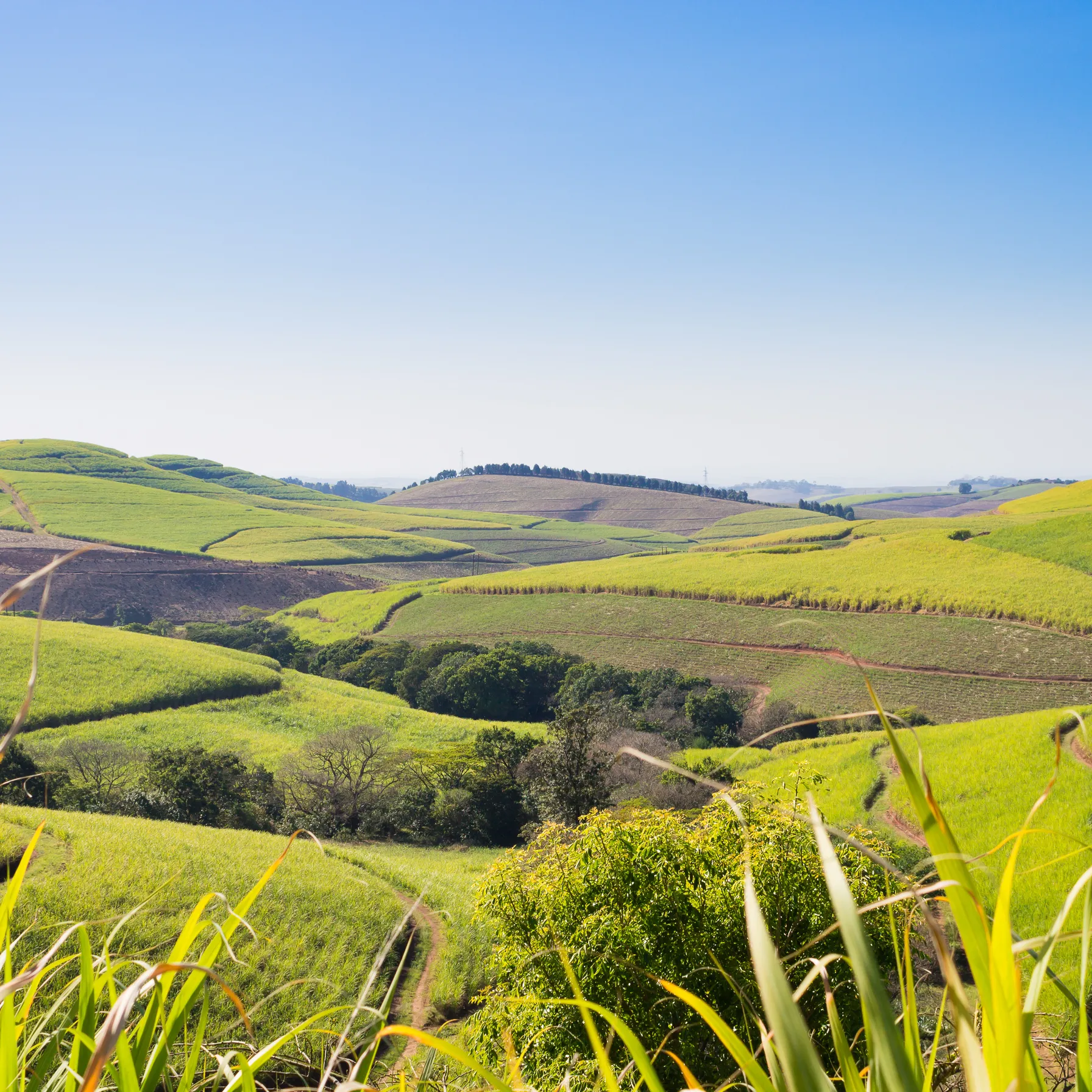 imageLa Vallée des Mille Collines