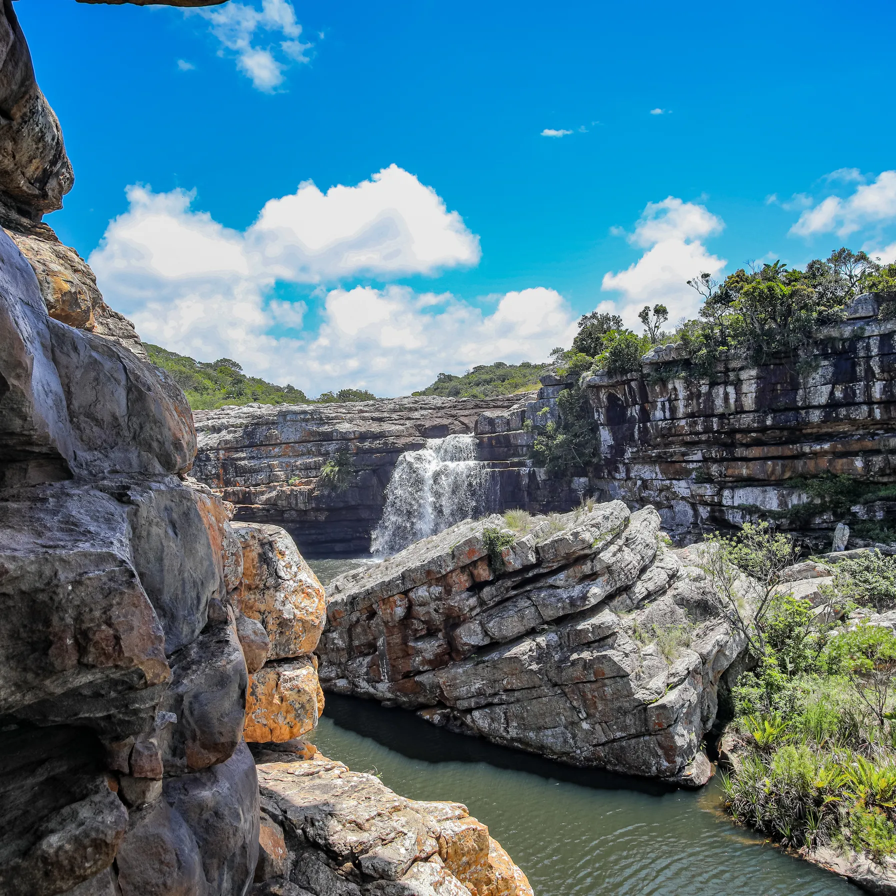 imageWild Coast