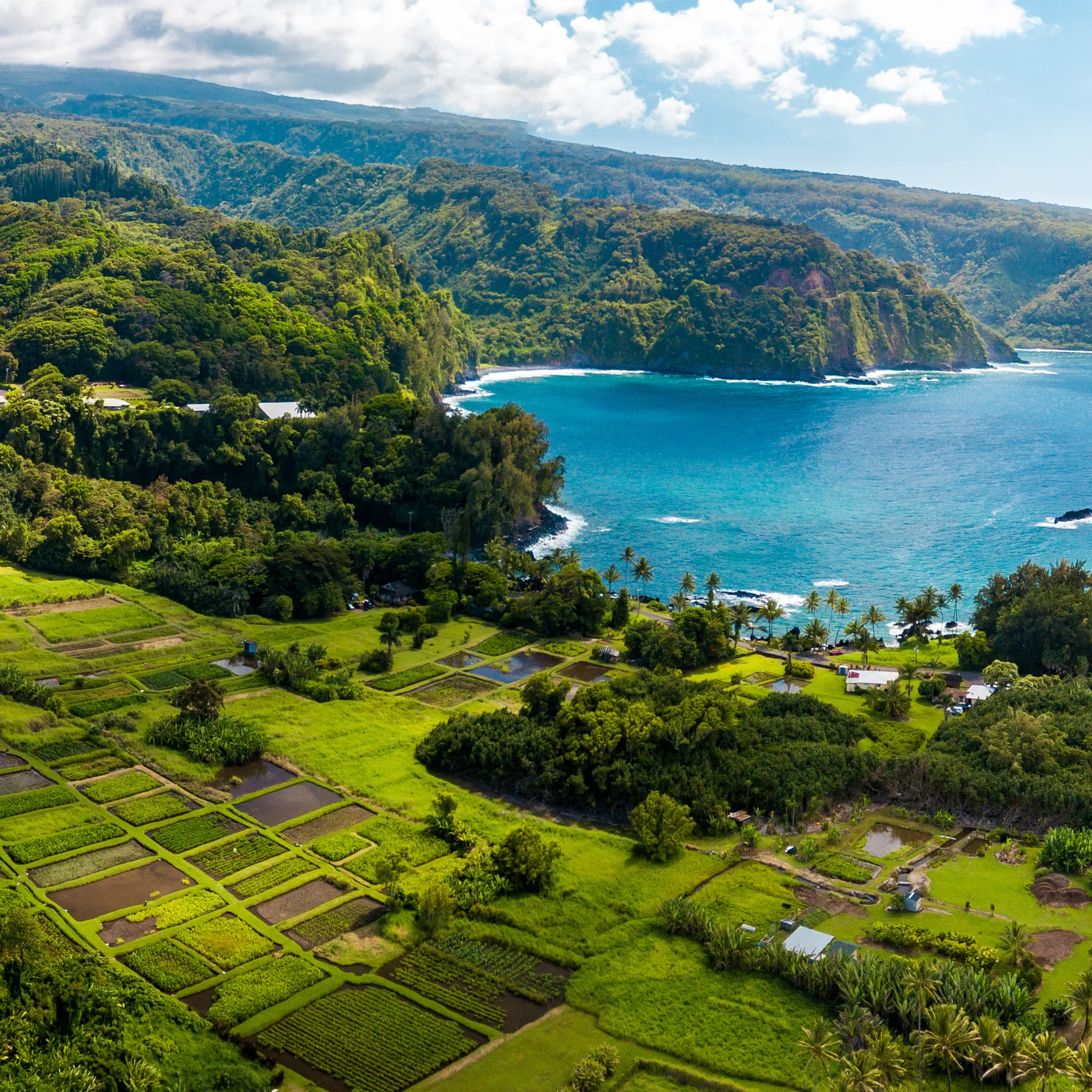 imageRoad to Hana