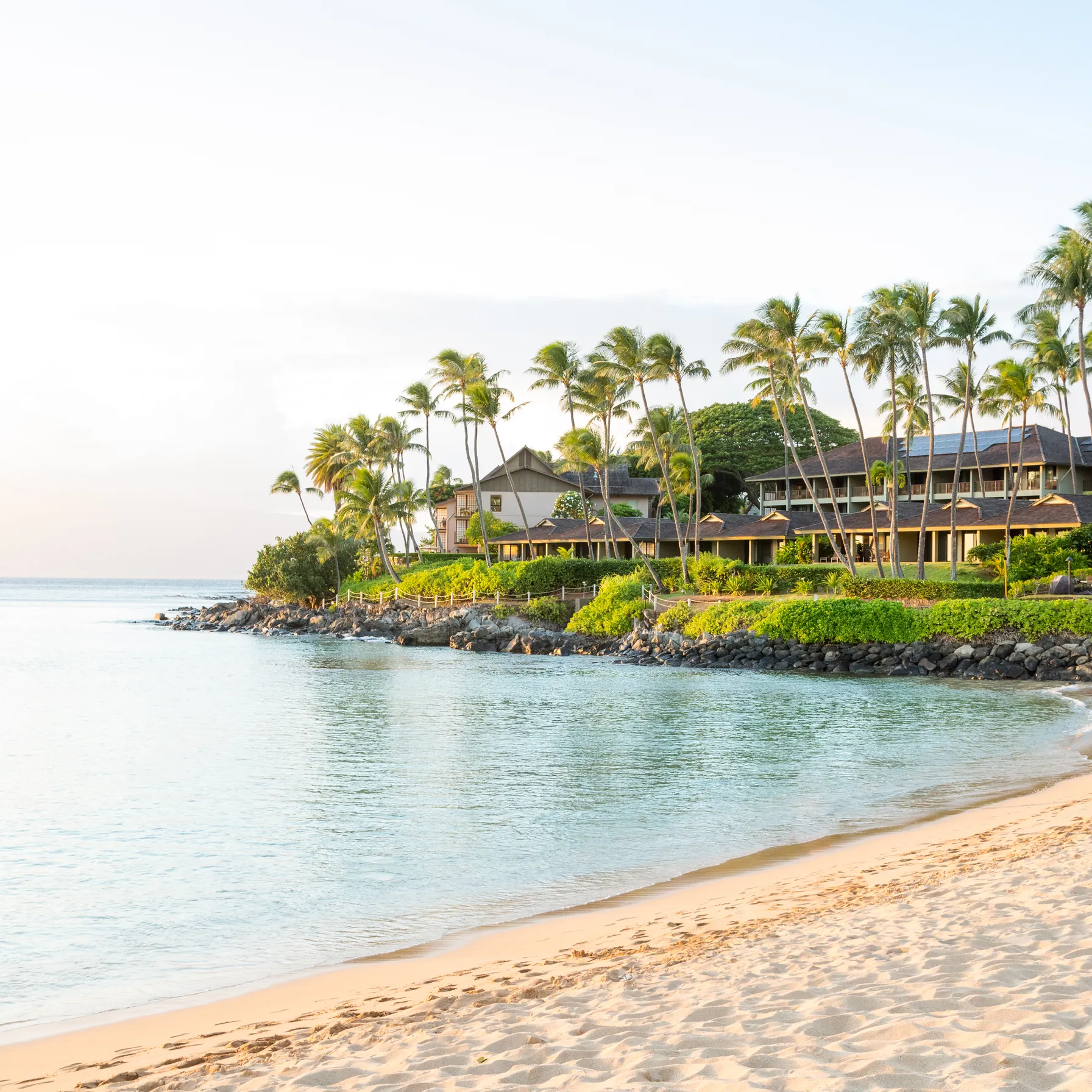 imageMaui