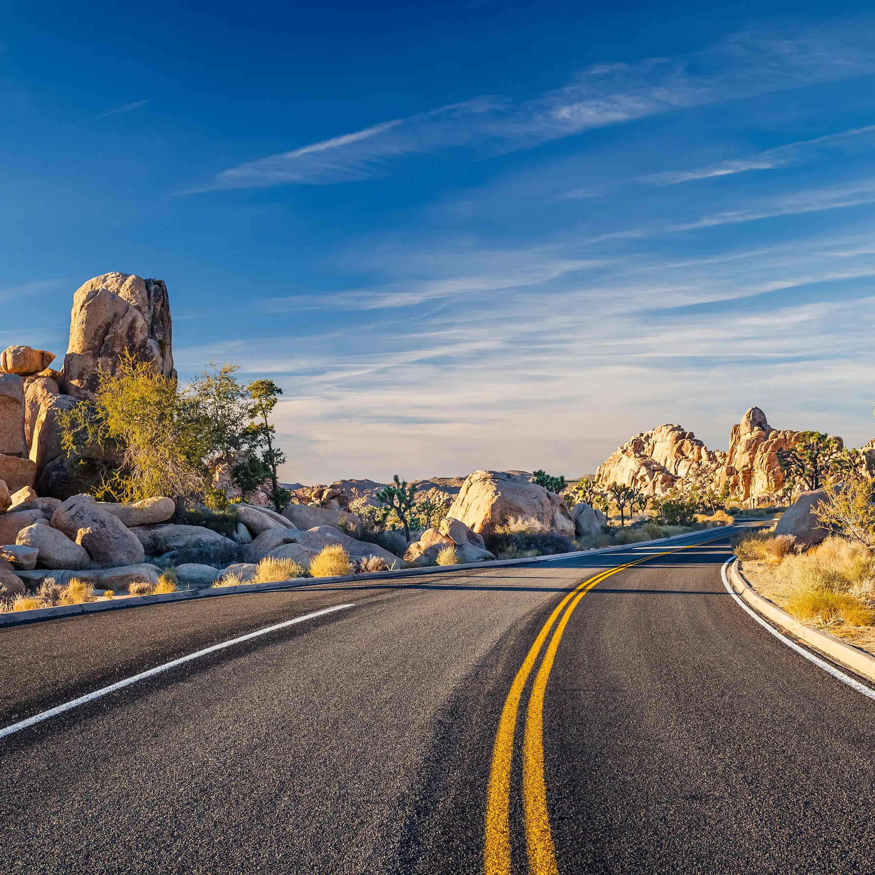 imageJoshua Tree National Park