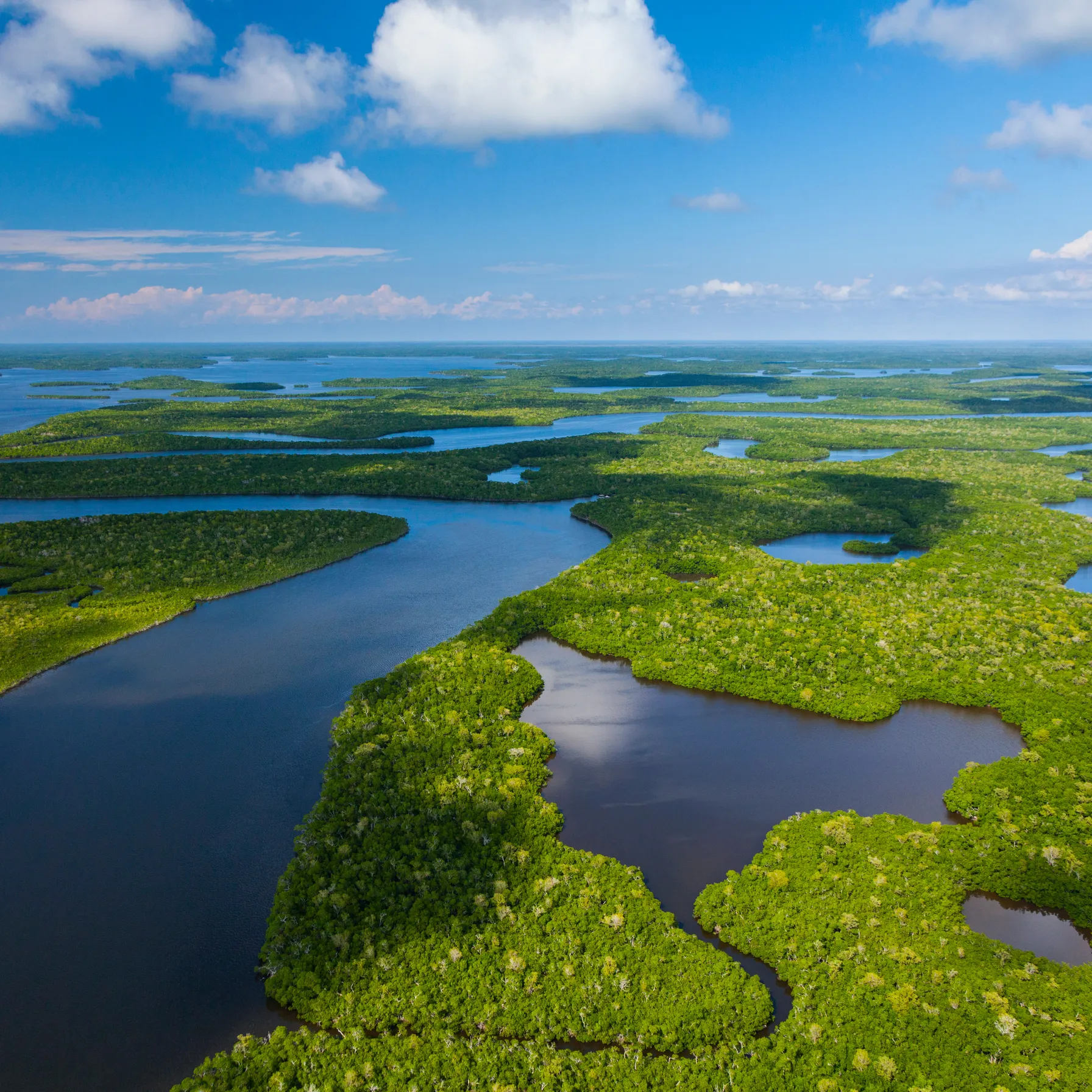 imageEverglades National Park