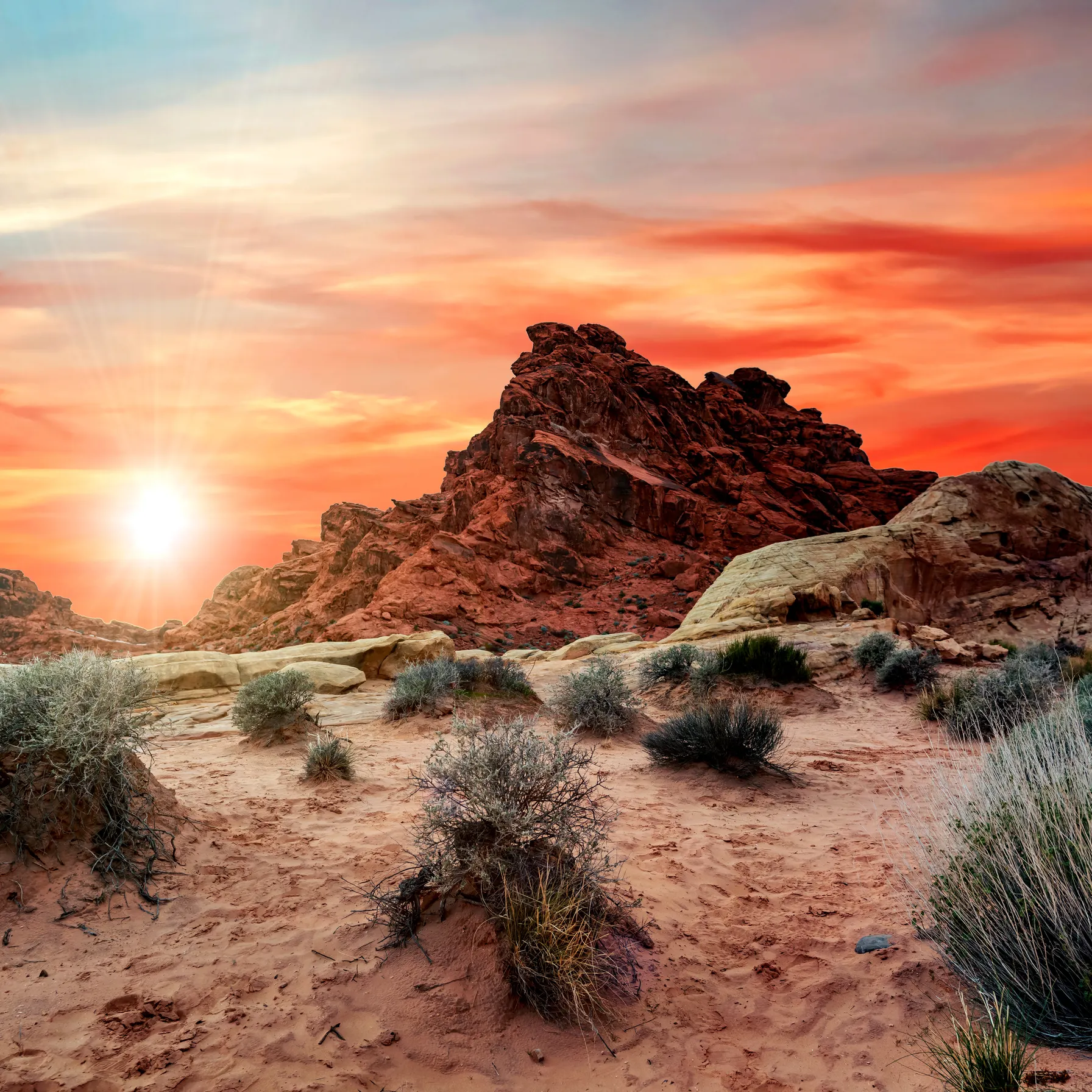 imageValley of Fire State Park