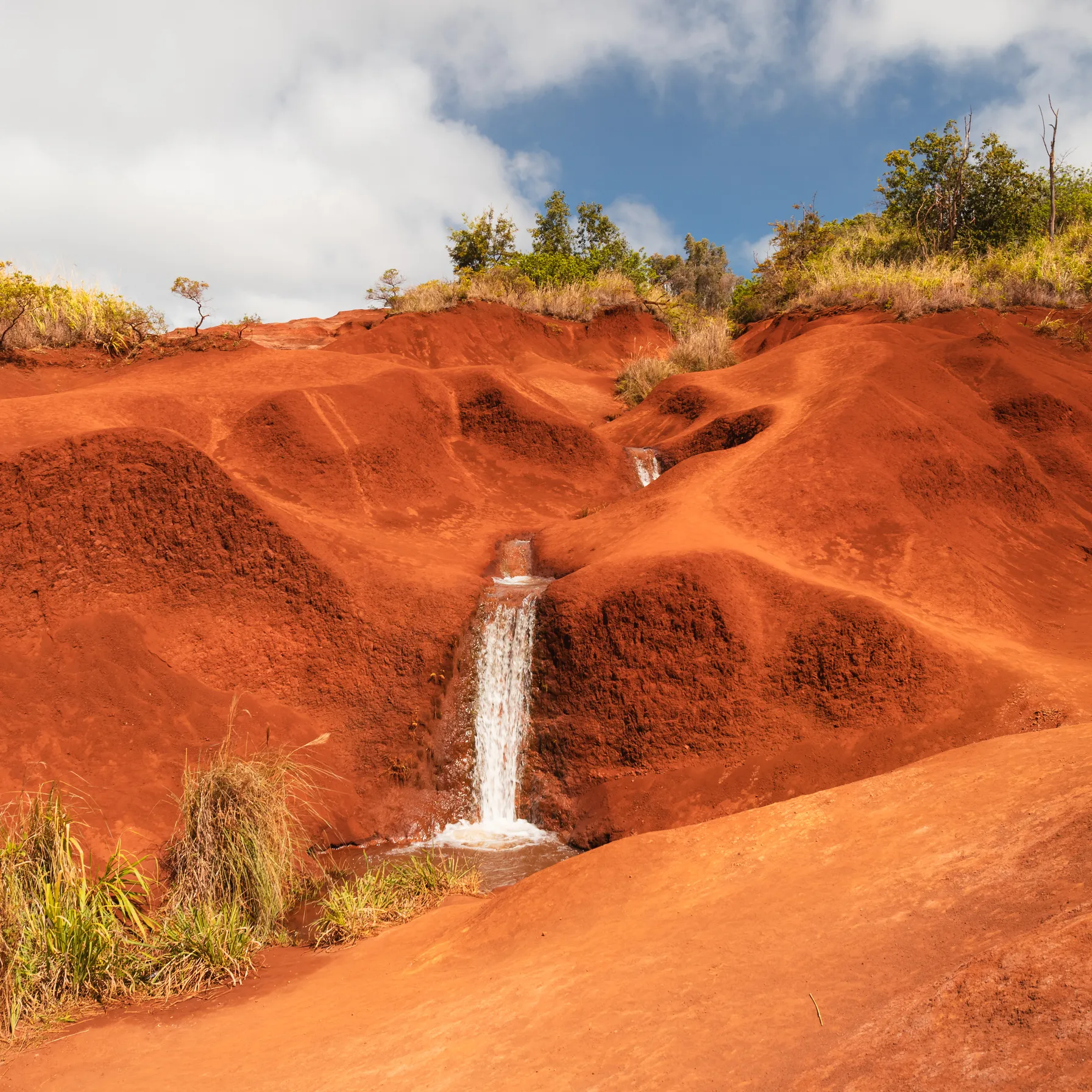 imageWaimea Canyon State Park