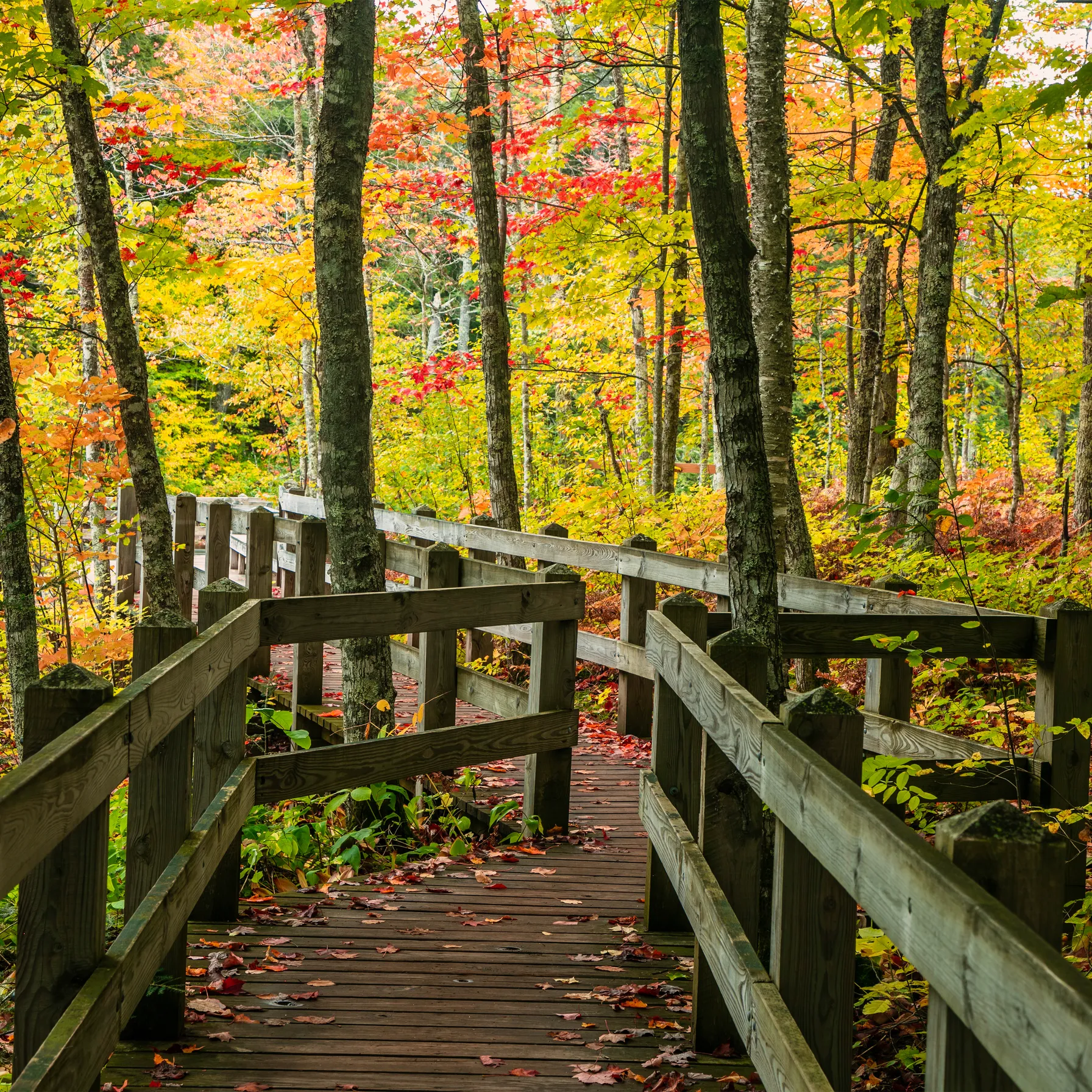 imageParc d'État de Presque Isle