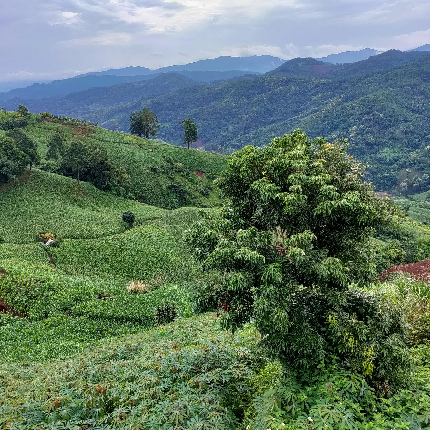 Évasion et aventures en Thaïlande du Nord au SudThailande