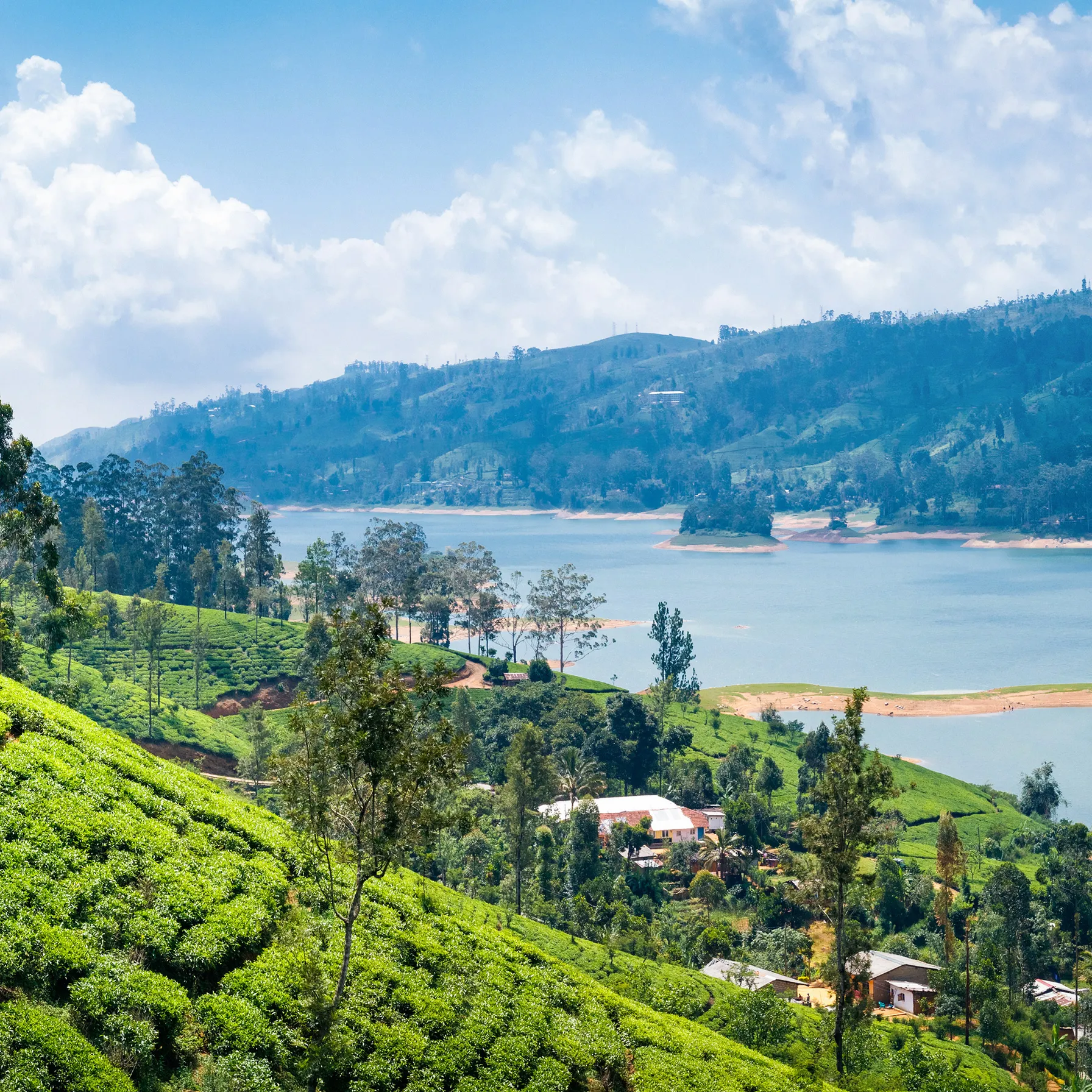 imageSri Lanka