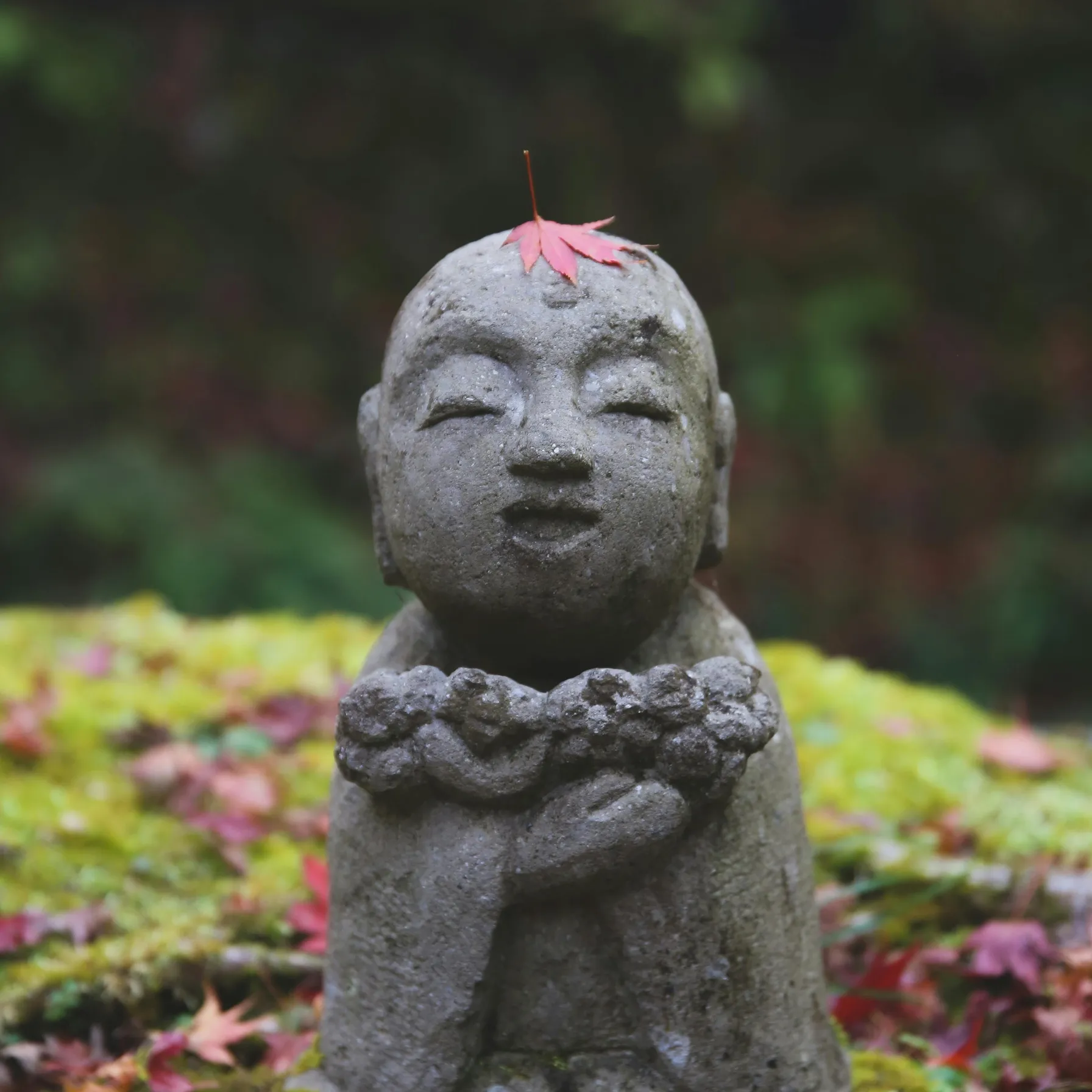 Découverte du Japon en familleJapon