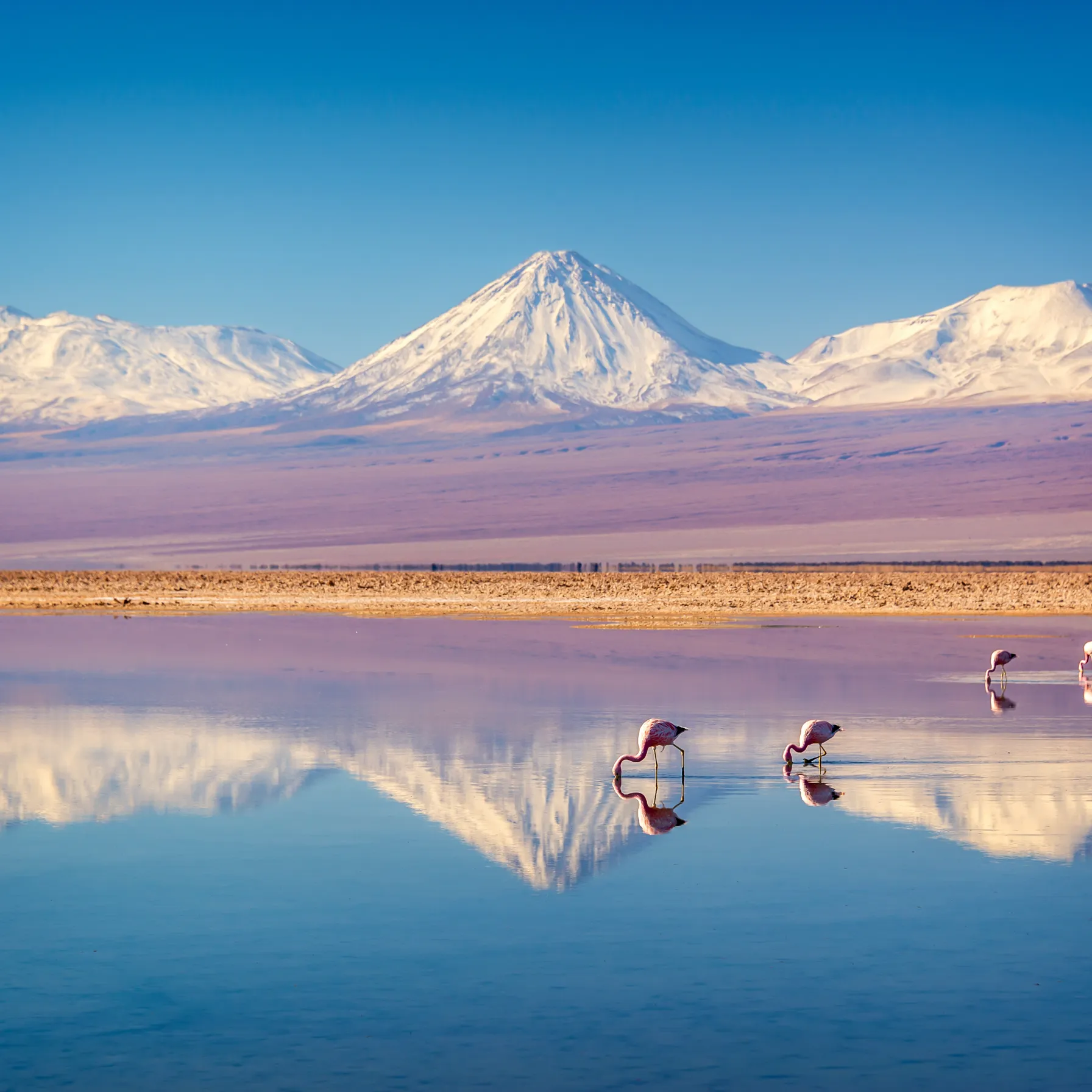 imageChile