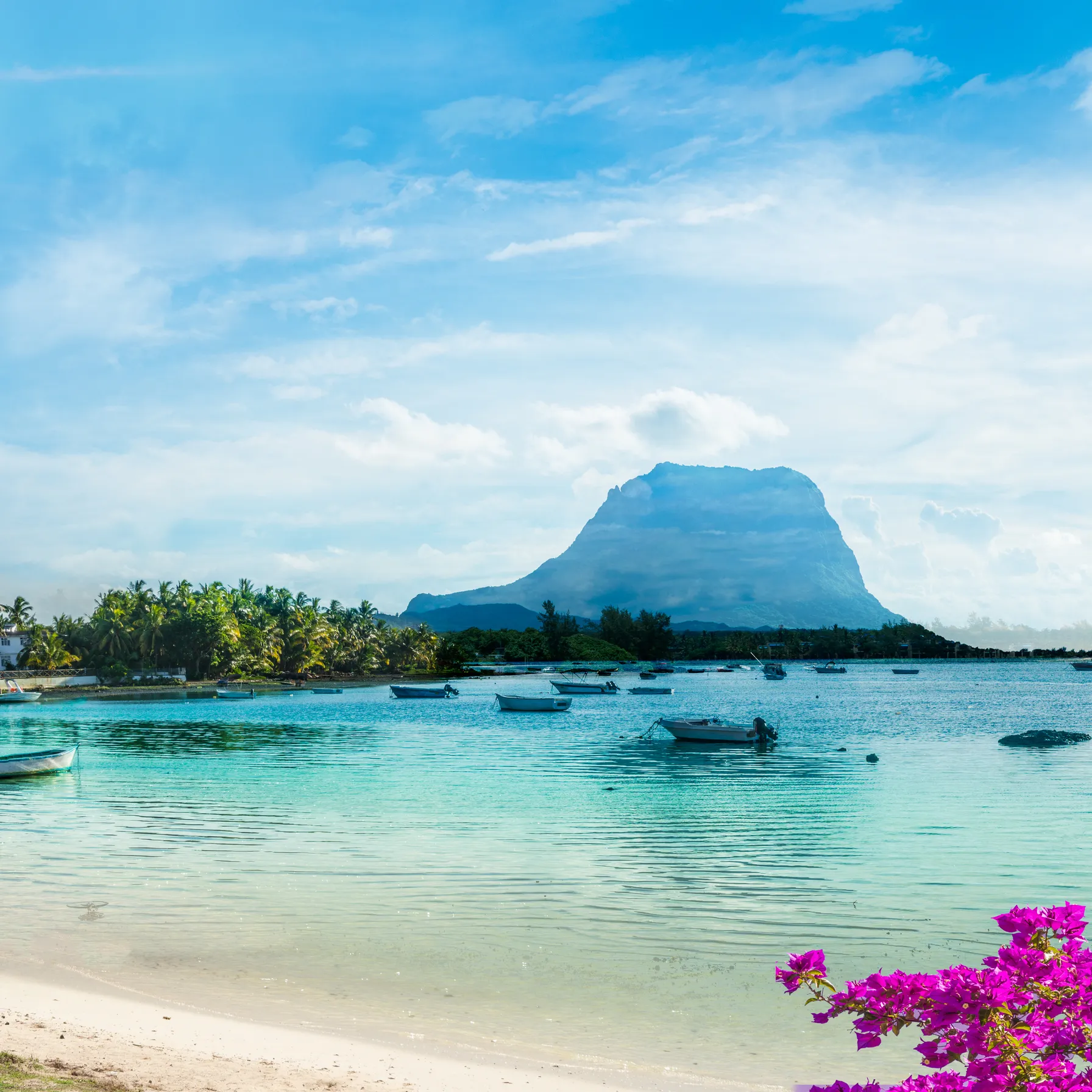 imageGrand Morne