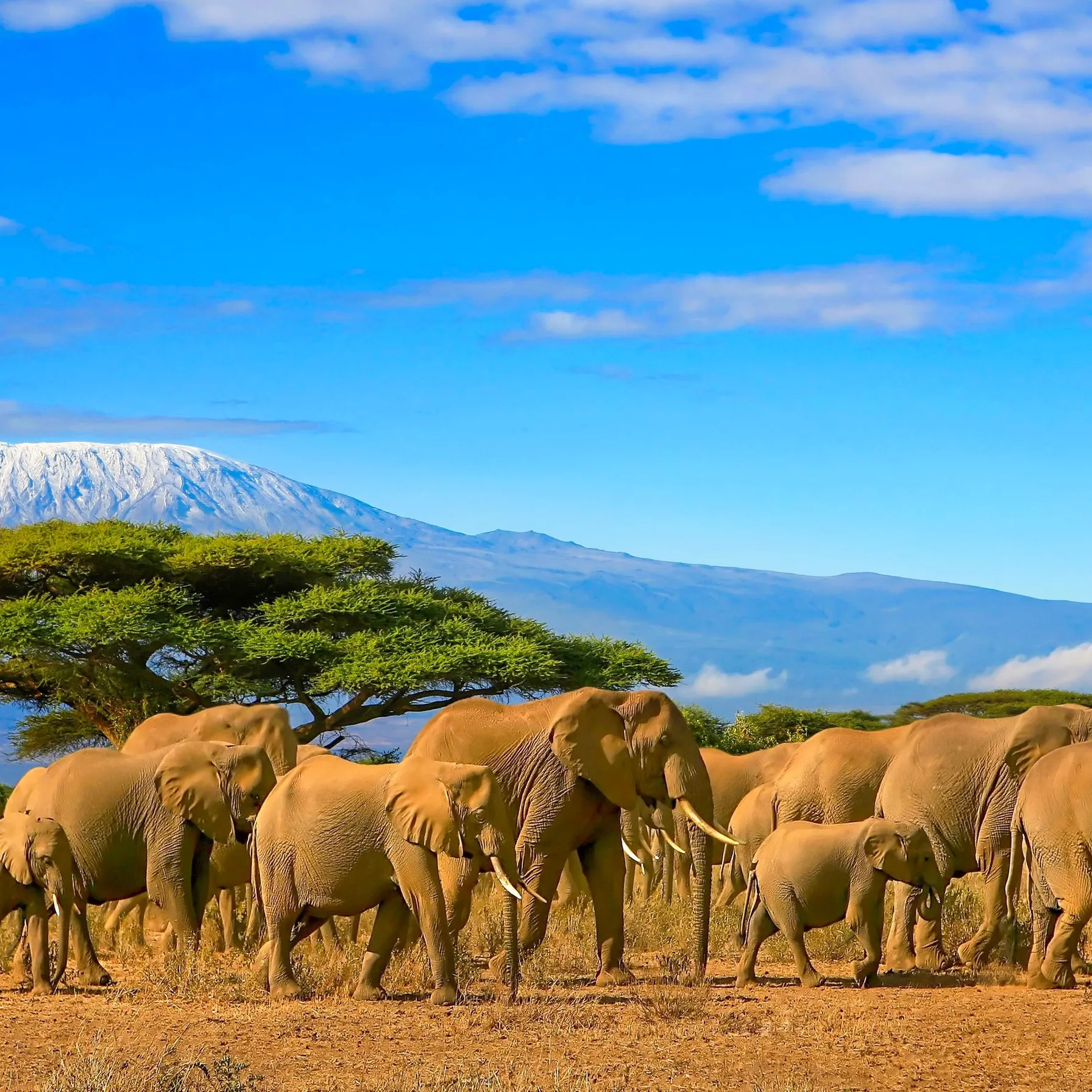 imageKenya