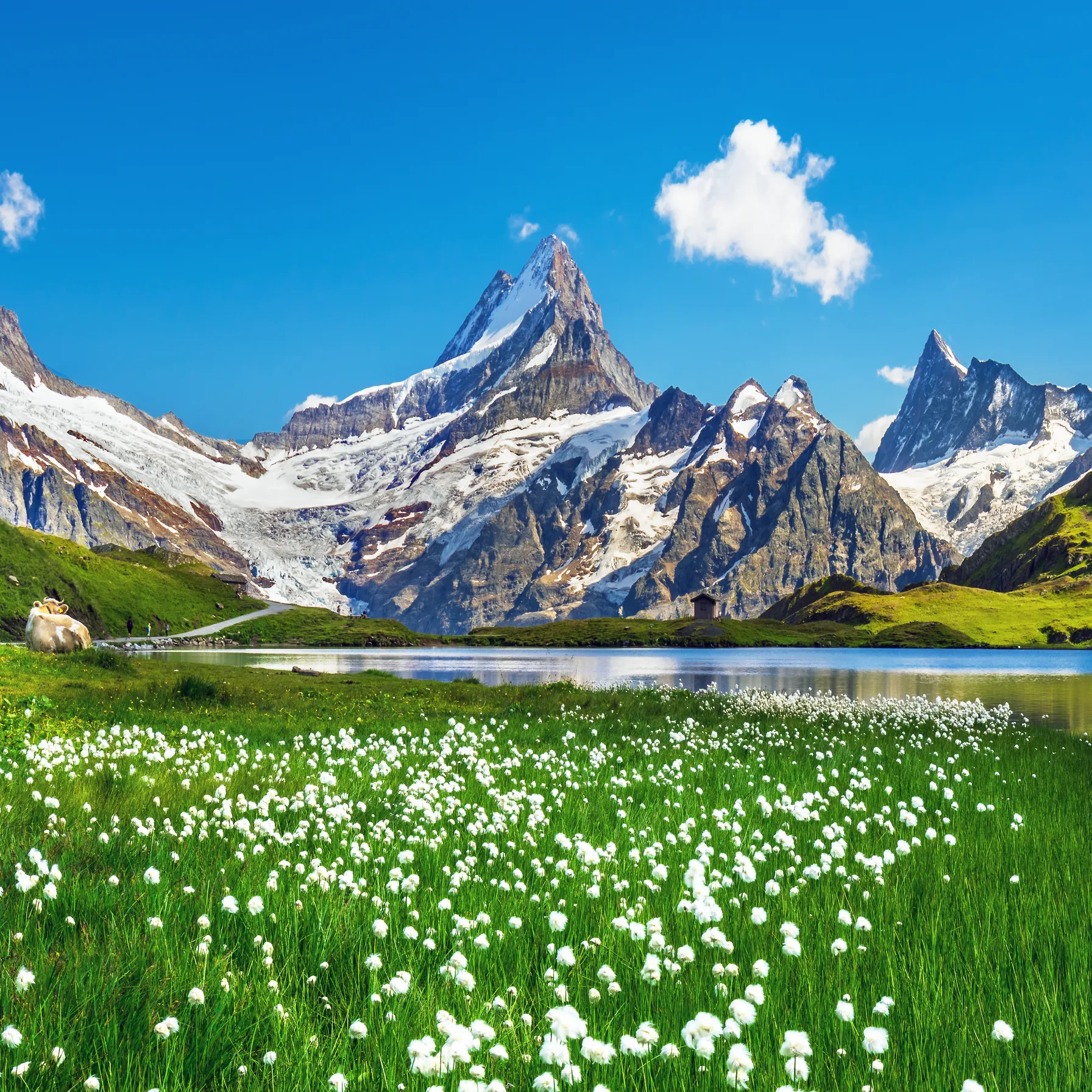 imageSwitzerland