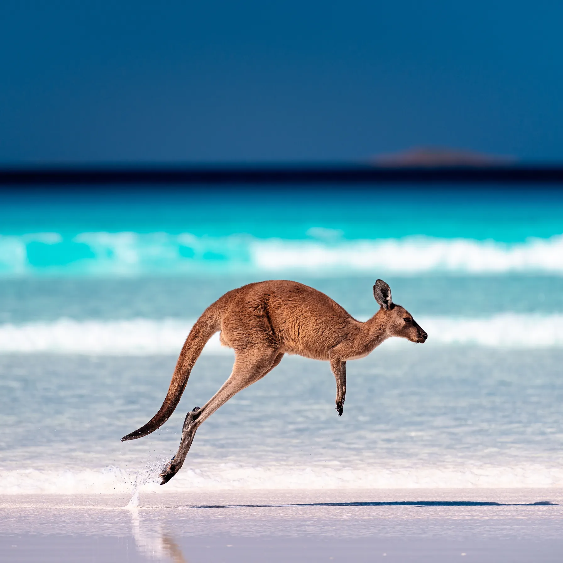 imageAustralia
