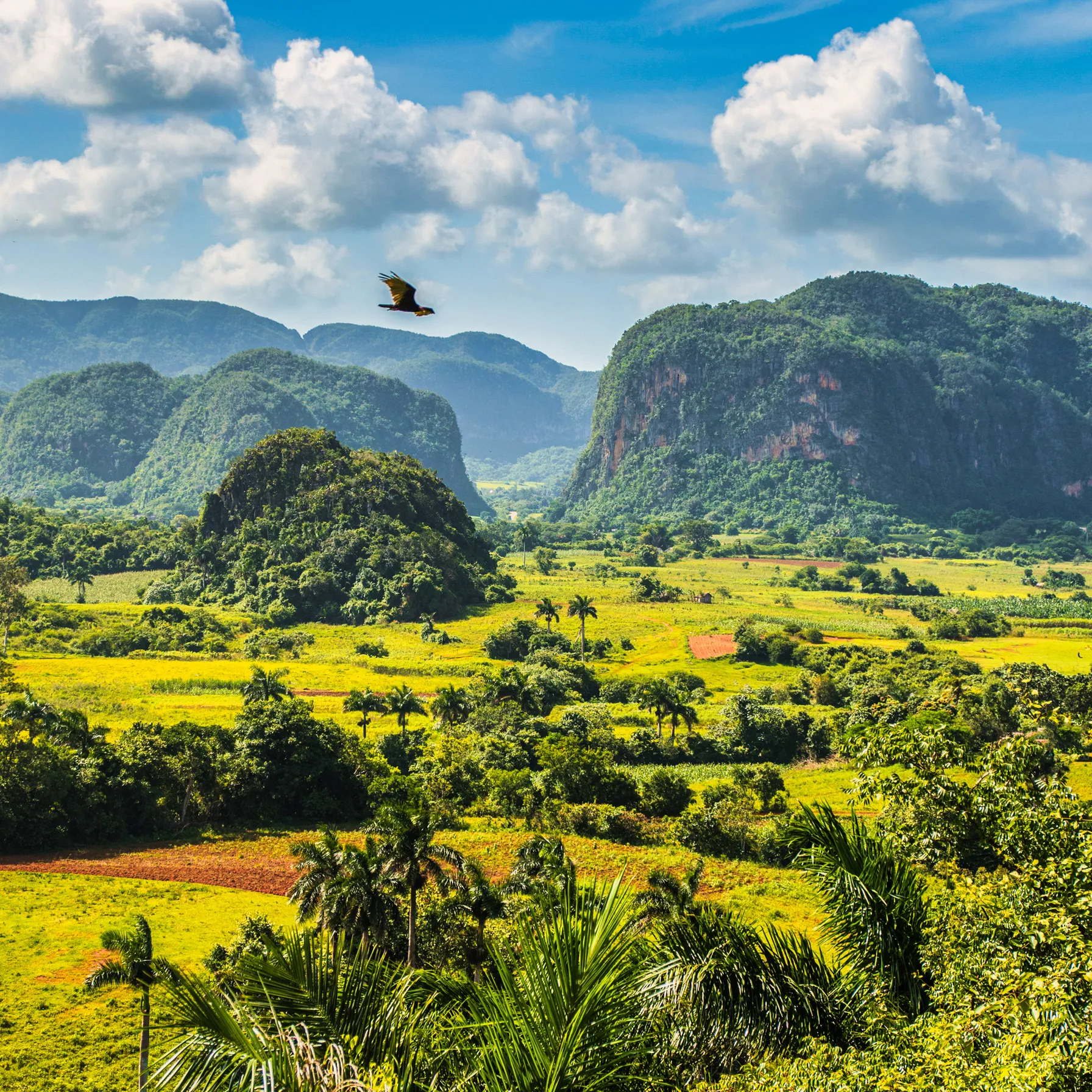 imageCuba