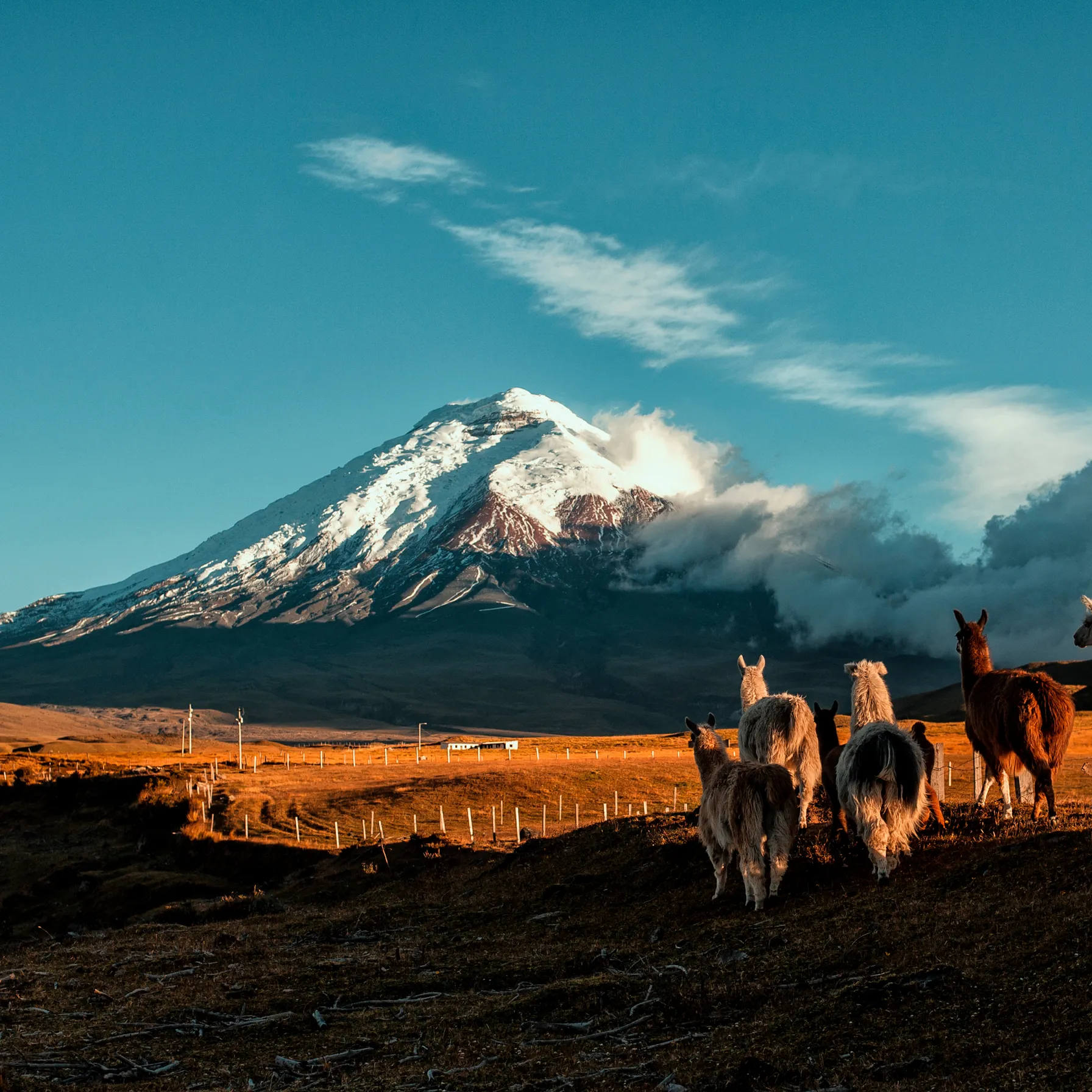 imageEcuador