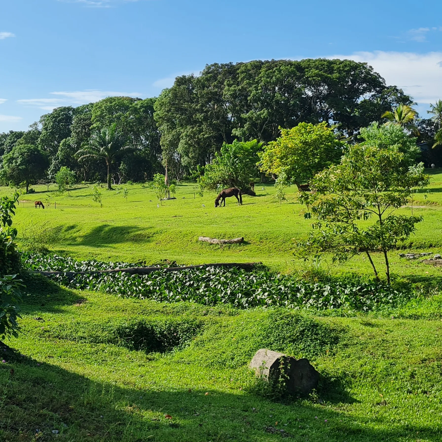imageGabon