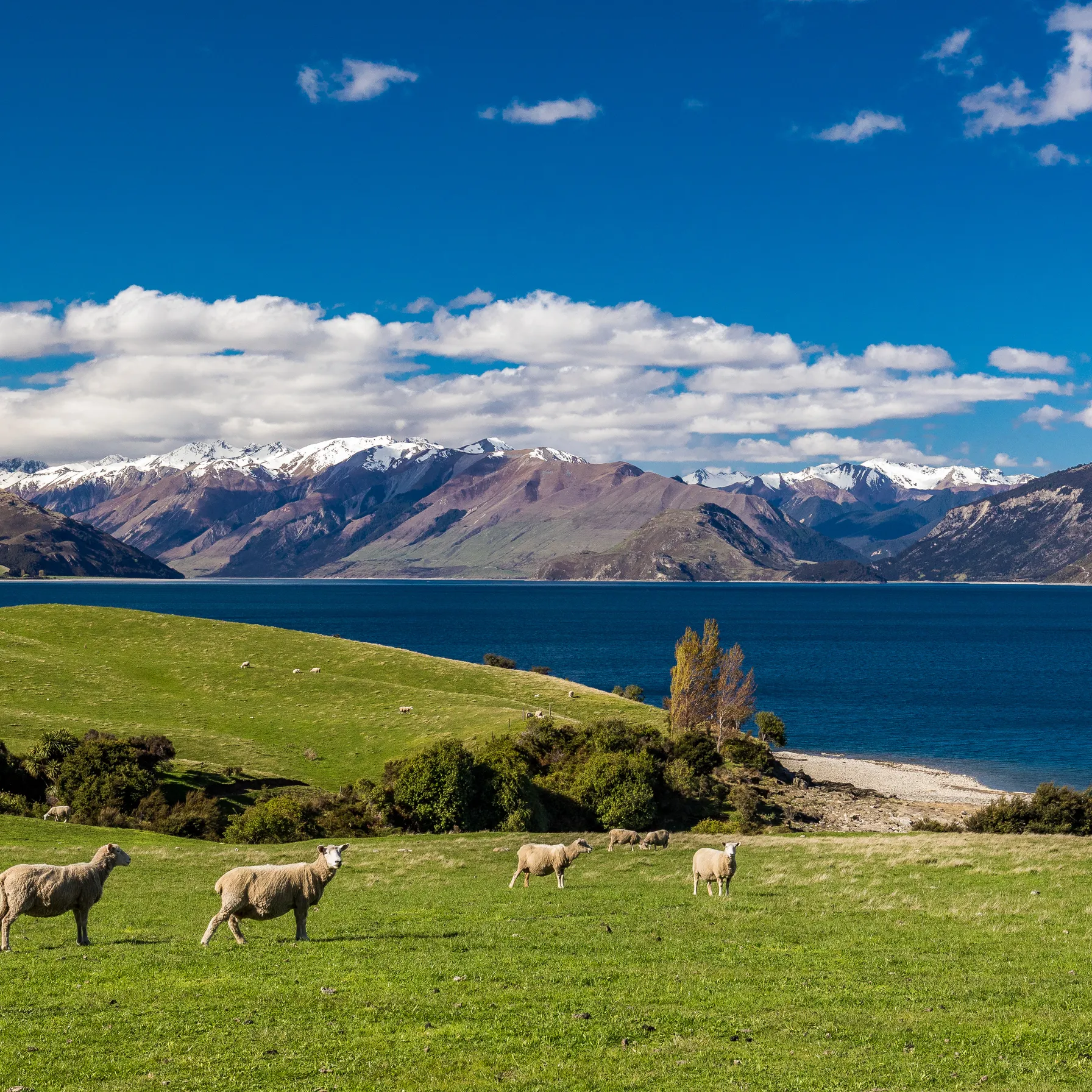 imageNew Zealand