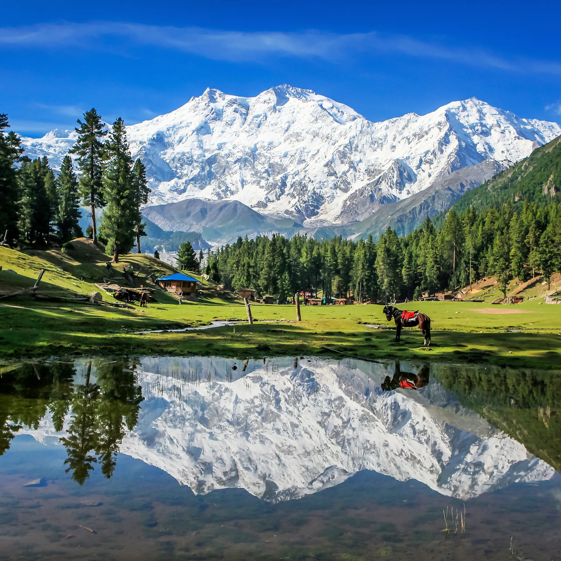 imagePakistan