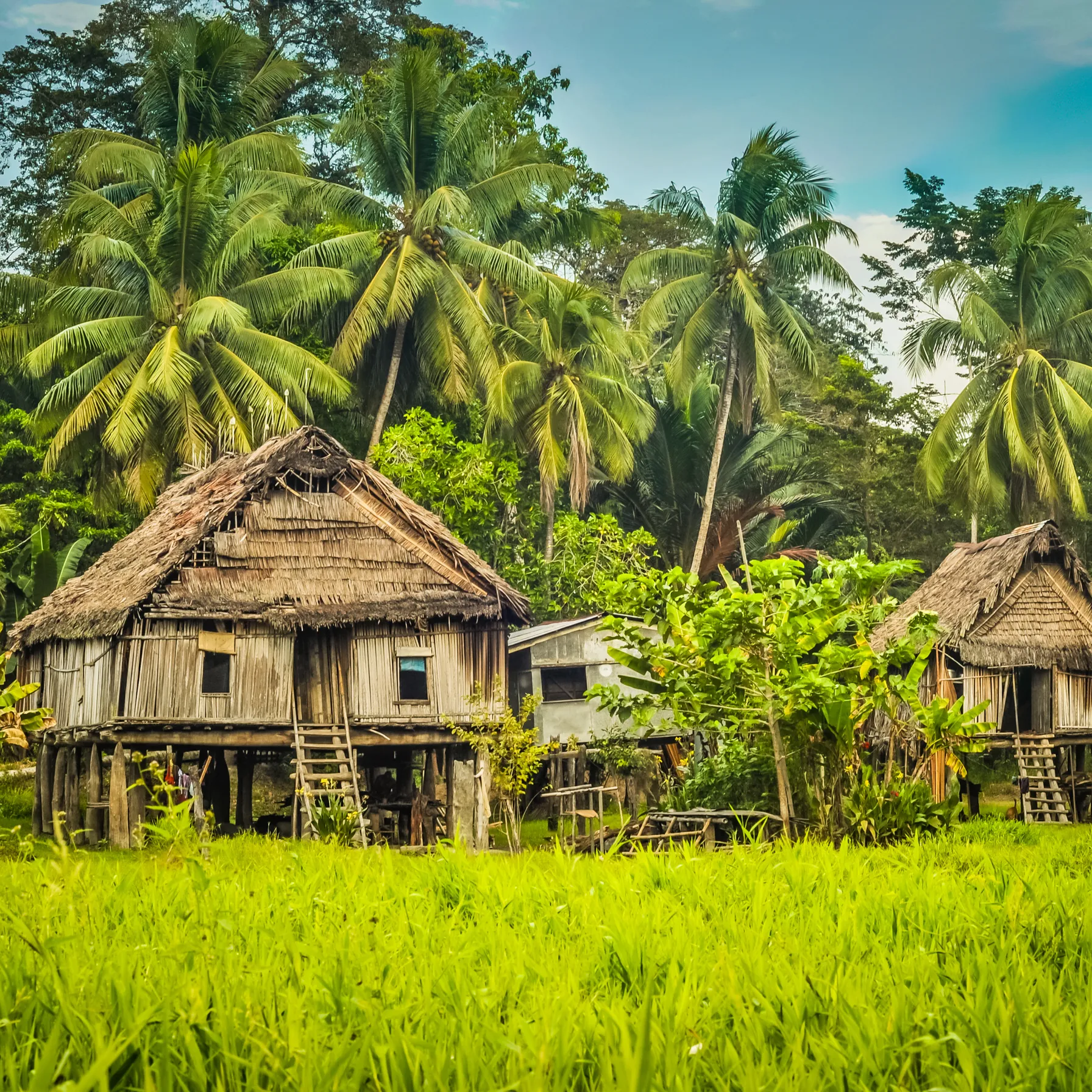 imagePapua New Guinea