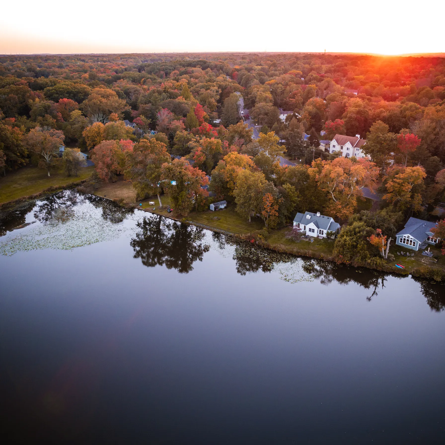 imagePrinceton