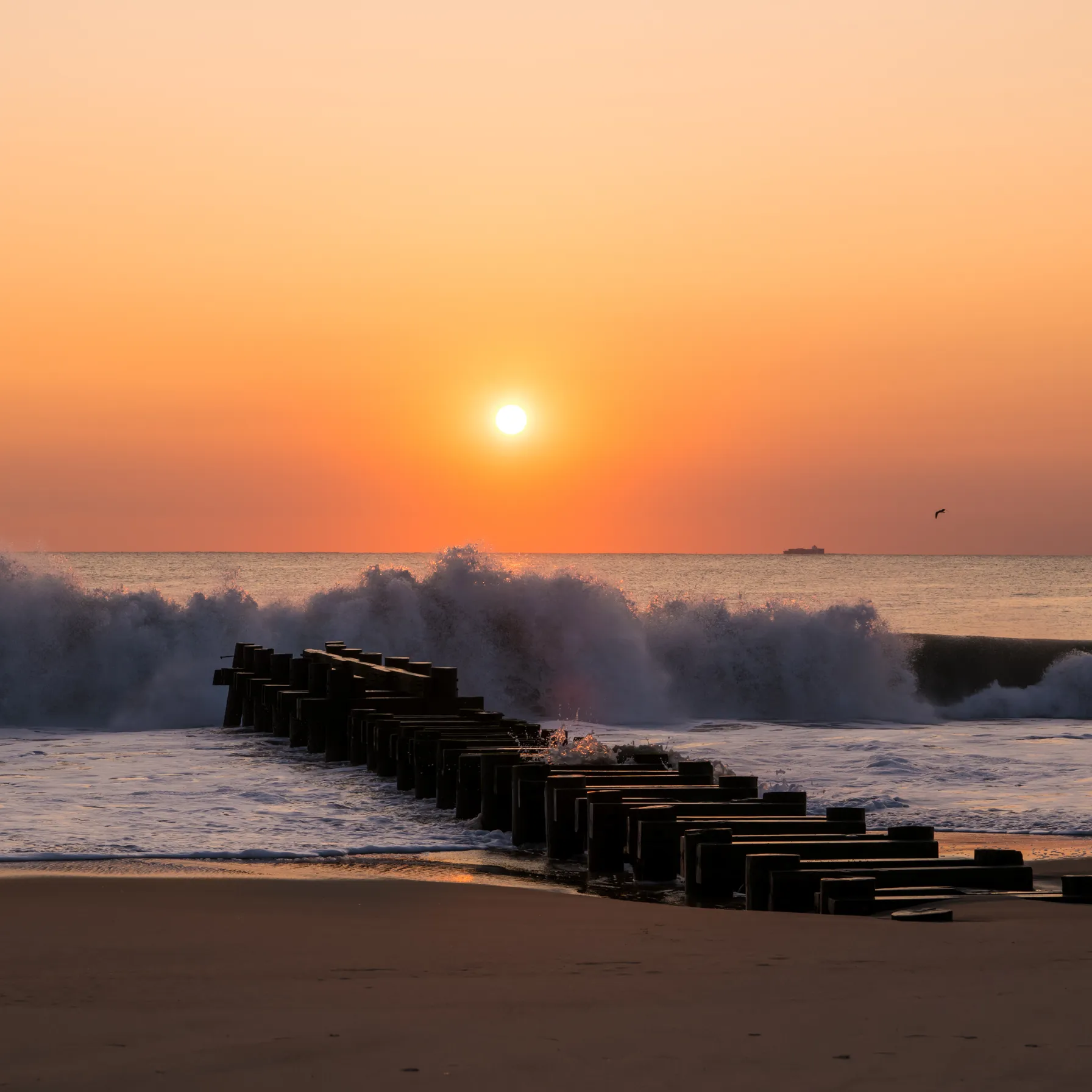 imageRehoboth Beach