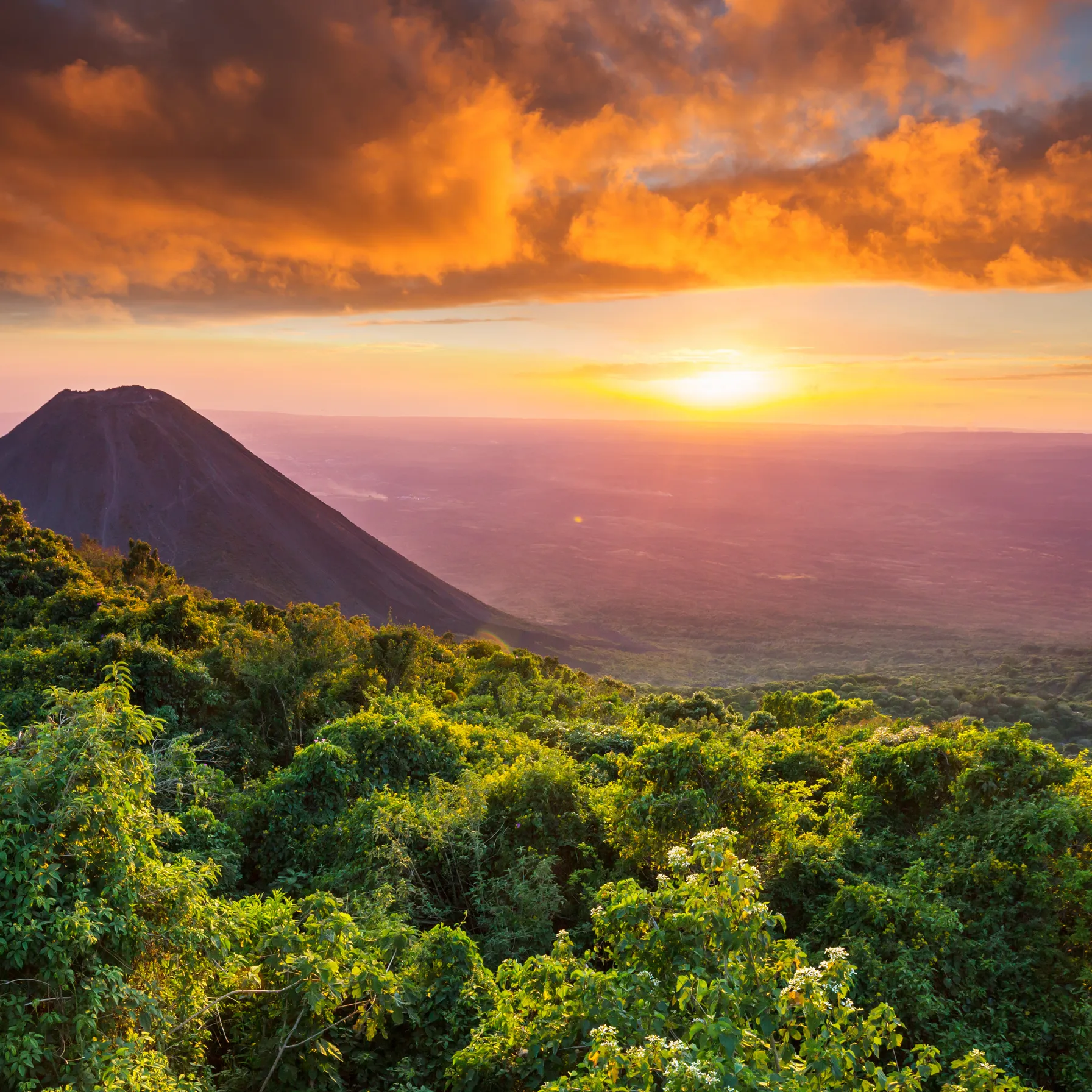 imageEl Salvador