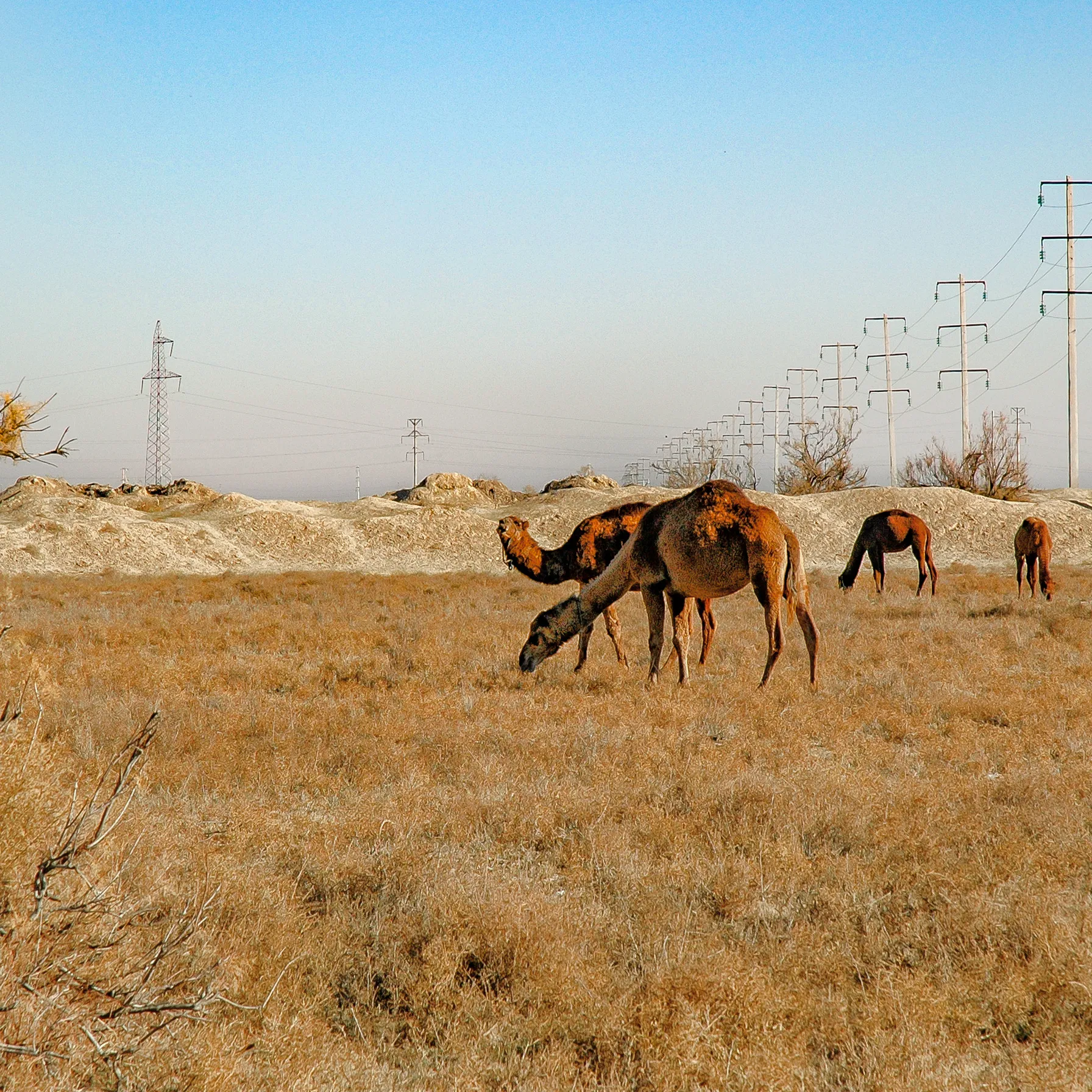 imageTurkmenistan