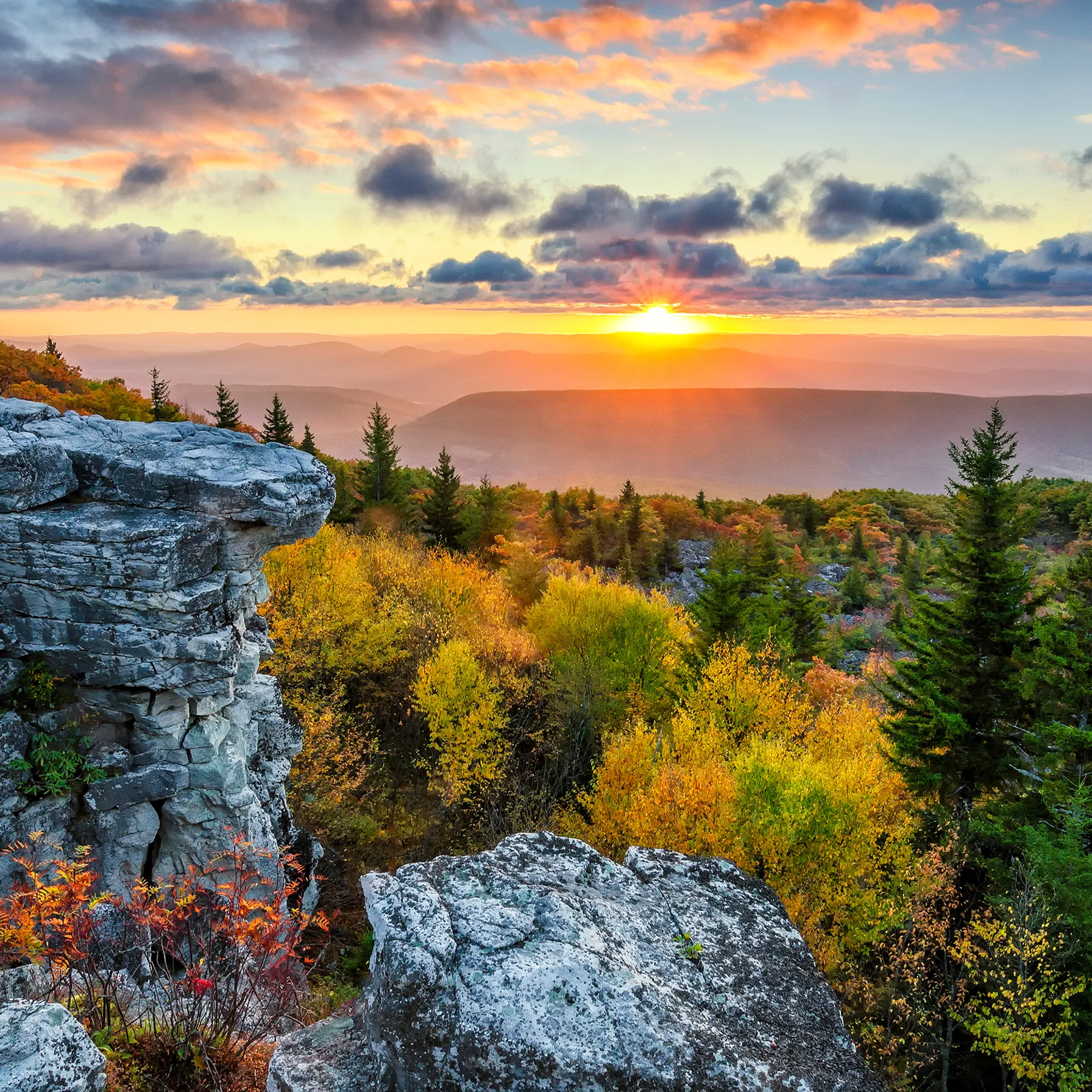 imageWest Virginia