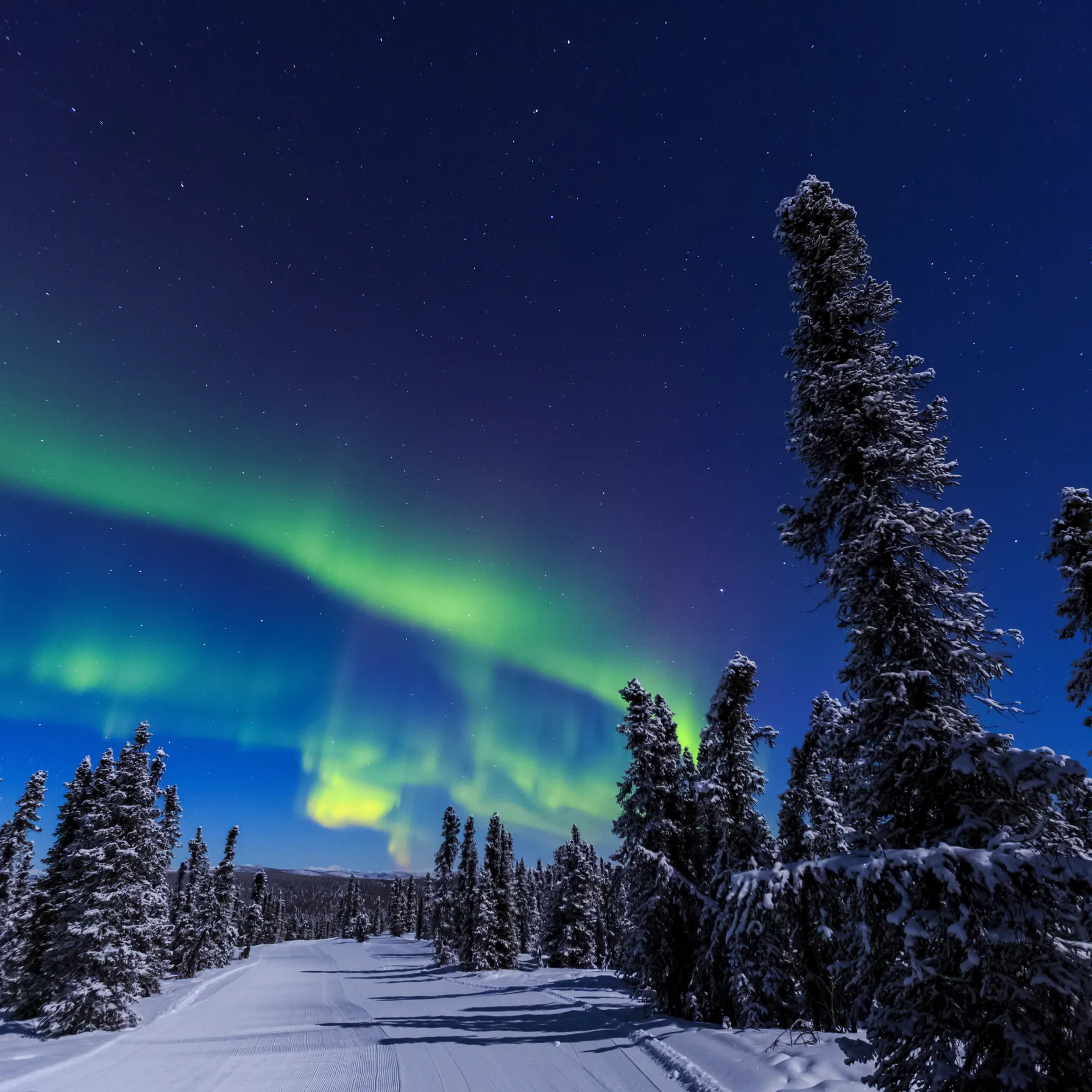 imageFairbanks